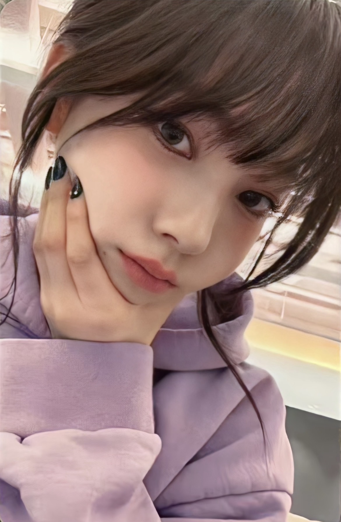 葡萄柚（非現）