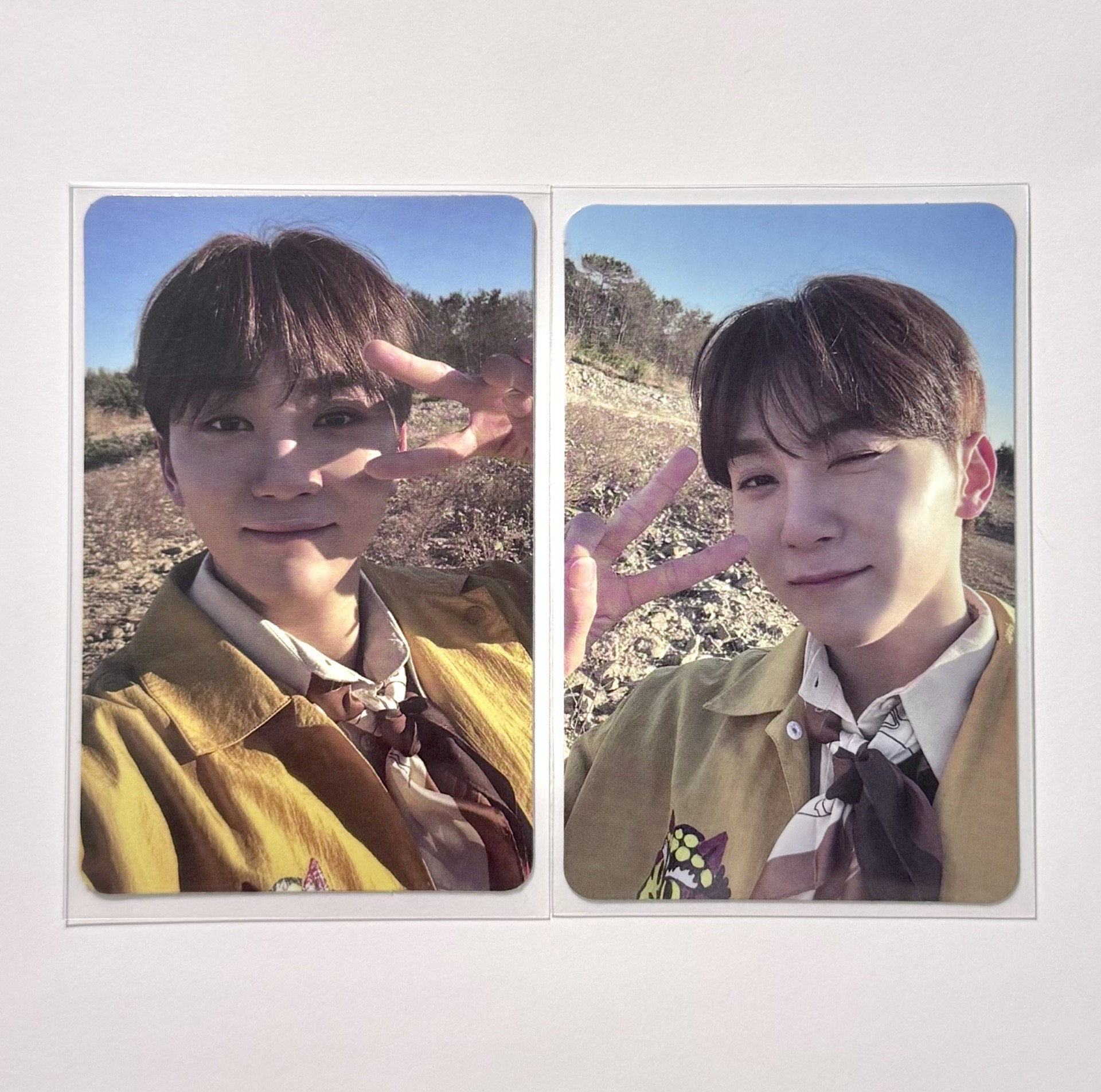 正四ep4專卡 寛🐻