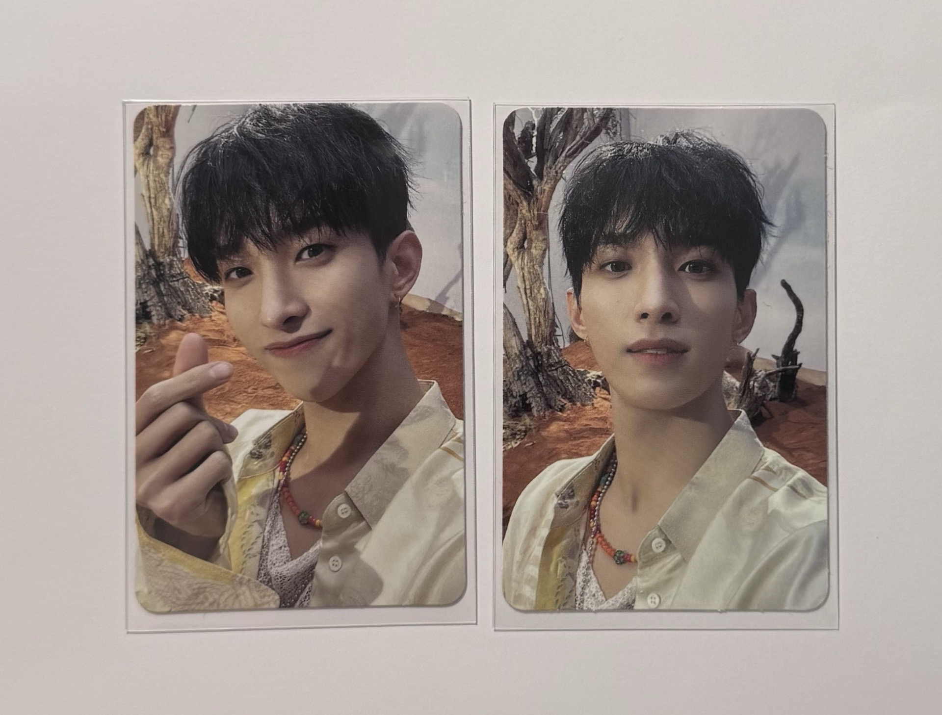 正四ep3專卡 碩🍕