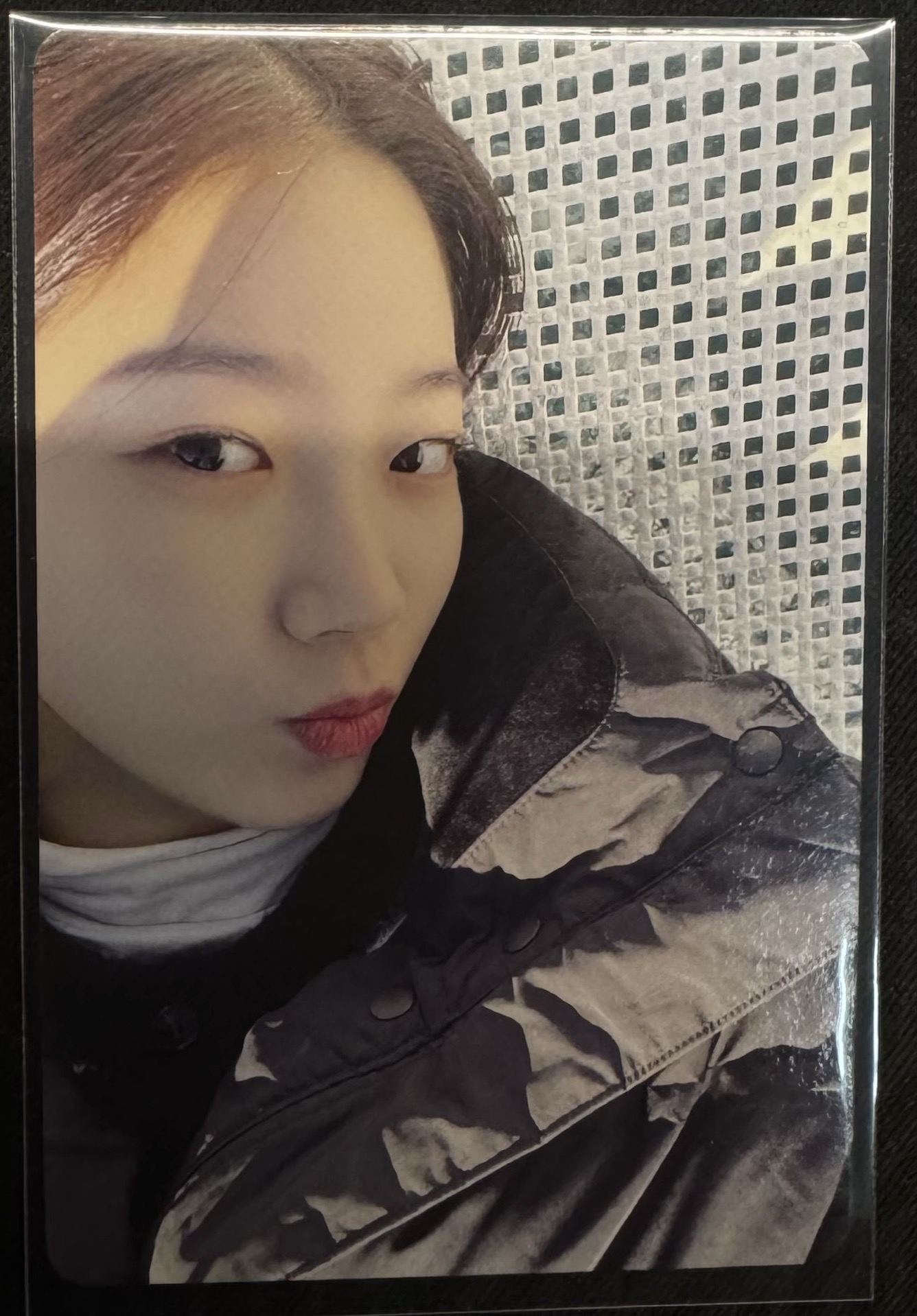 濟州島寫真 一葉