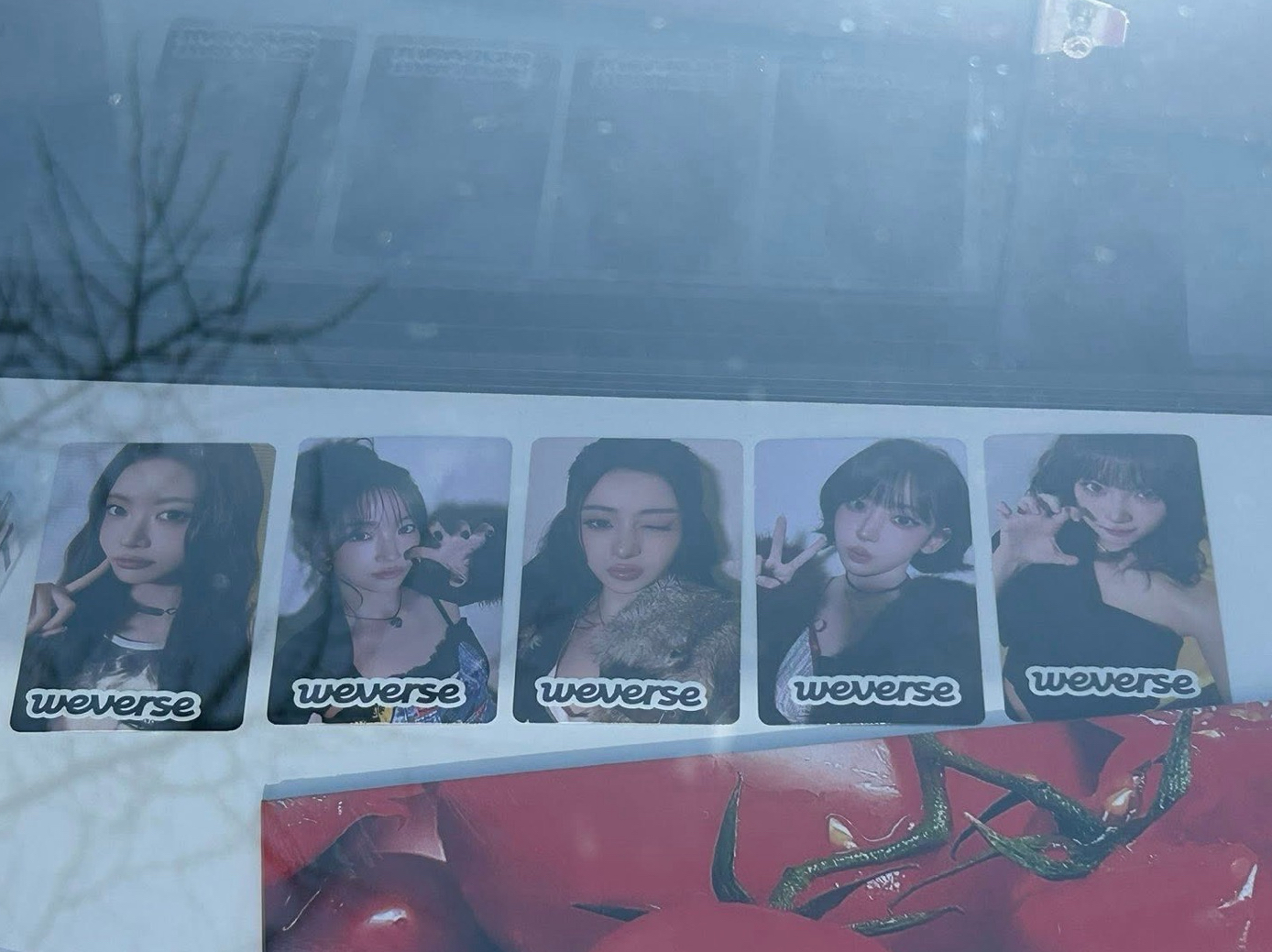 首爾韓安場限Hot 恩採