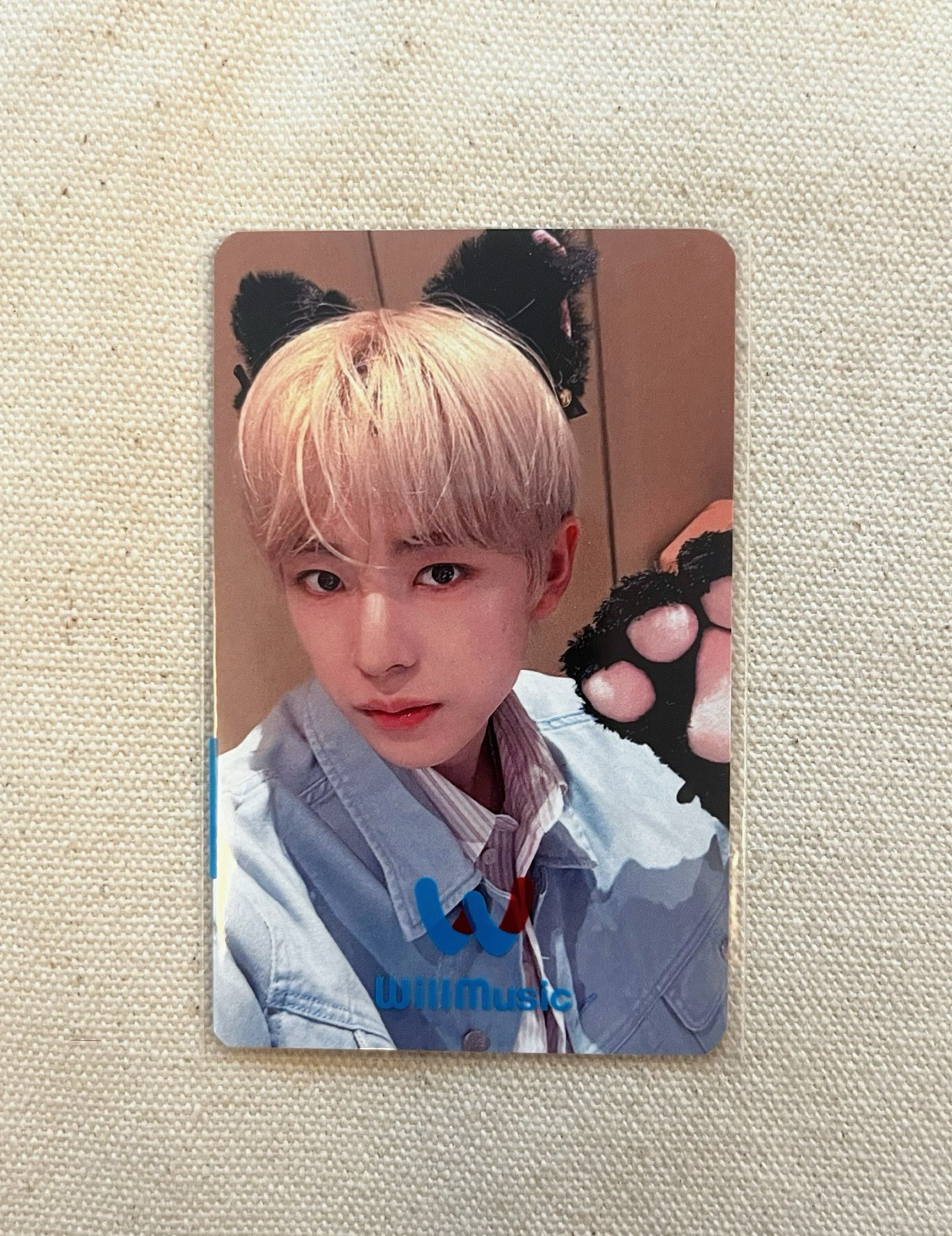 勇志喵 color ia 幸運卡