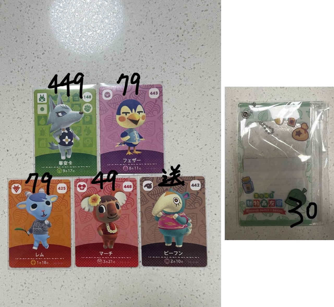 Nintendo Switch 任天堂 動物森友會 amiibo