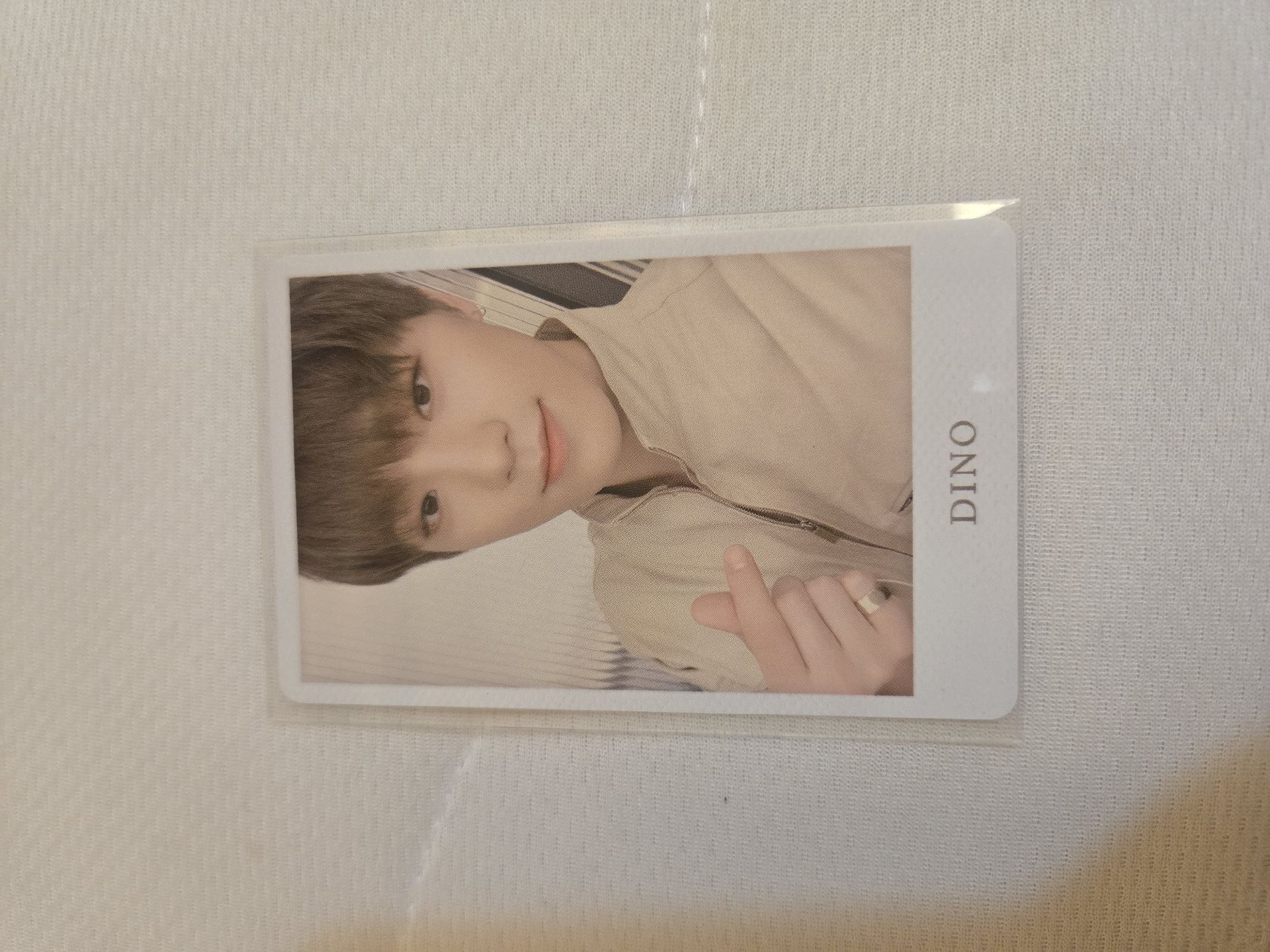 Dino An Ode HMV特典