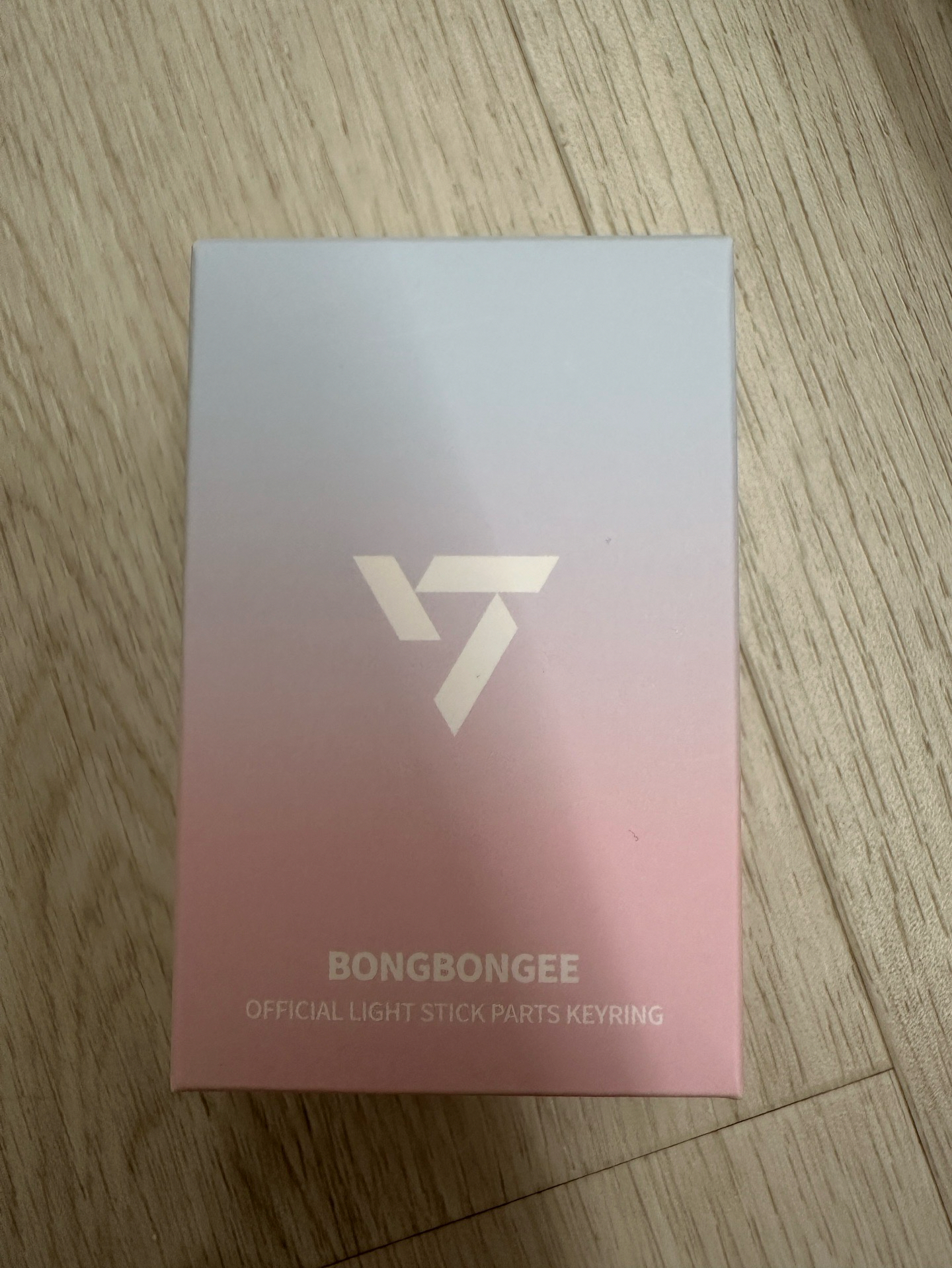 十週年手燈+蹦蹦頭