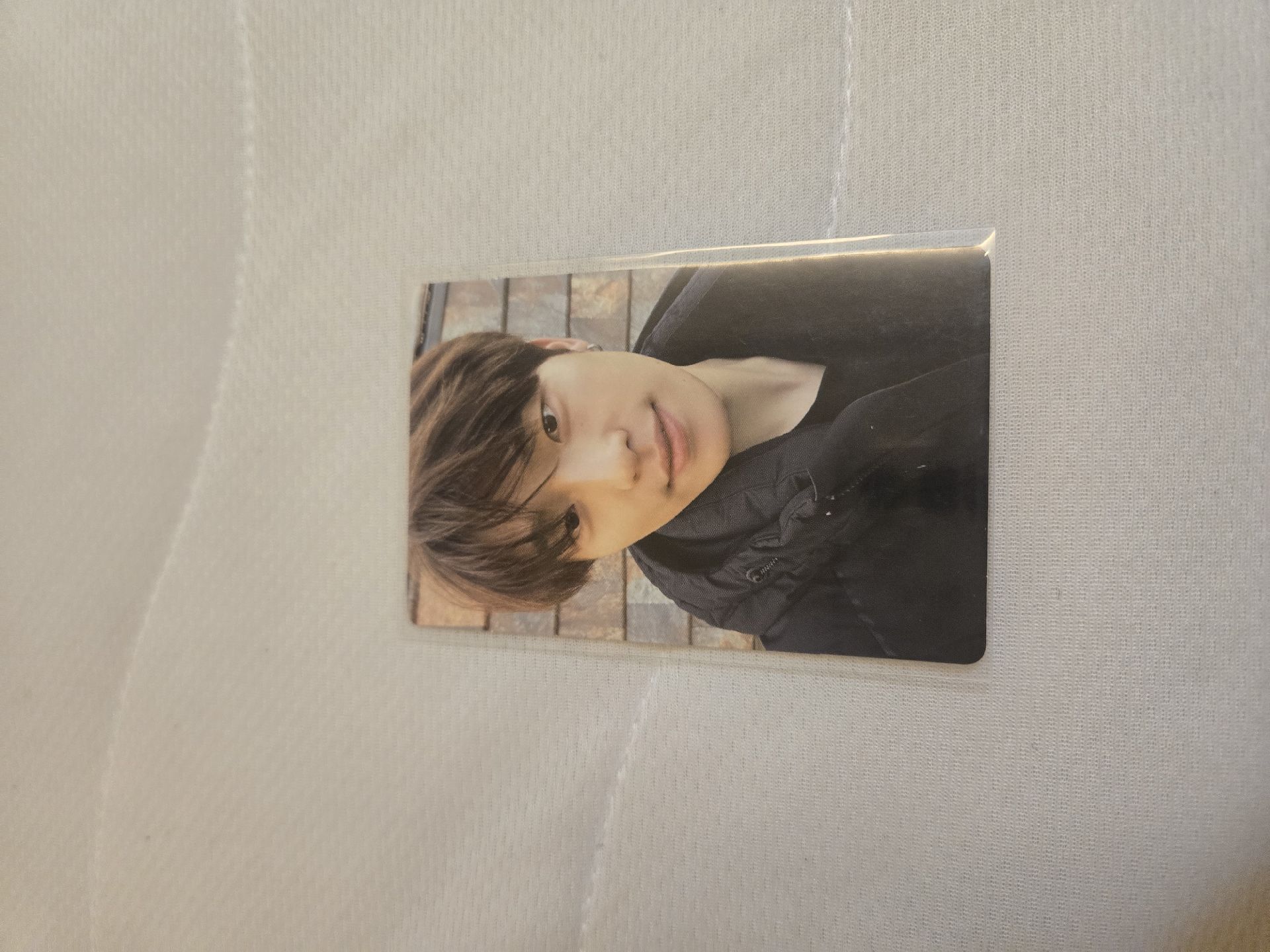 Dino In the soop 2 小卡