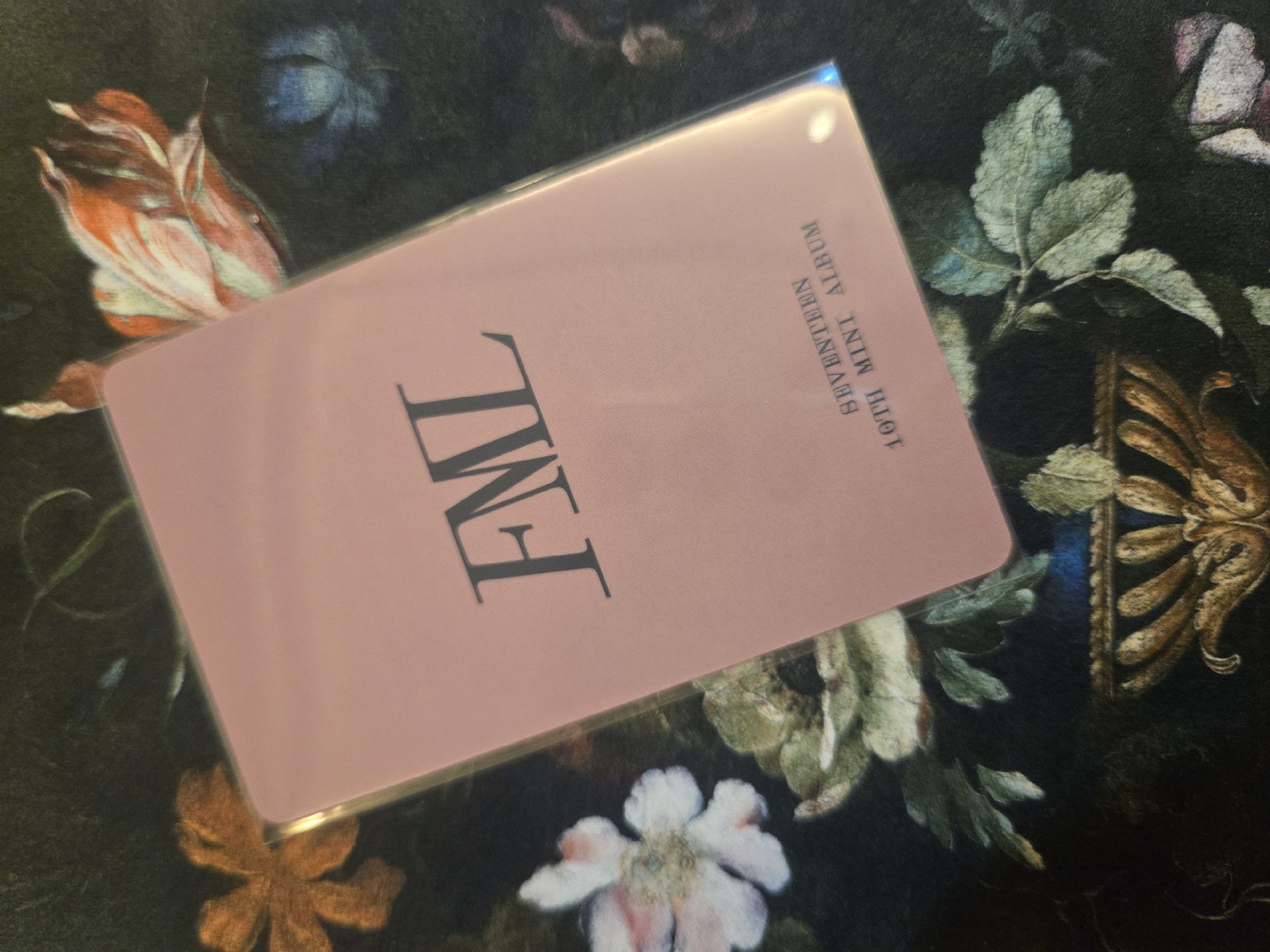 淨漢FML WVS JP 特典卡 星星閃