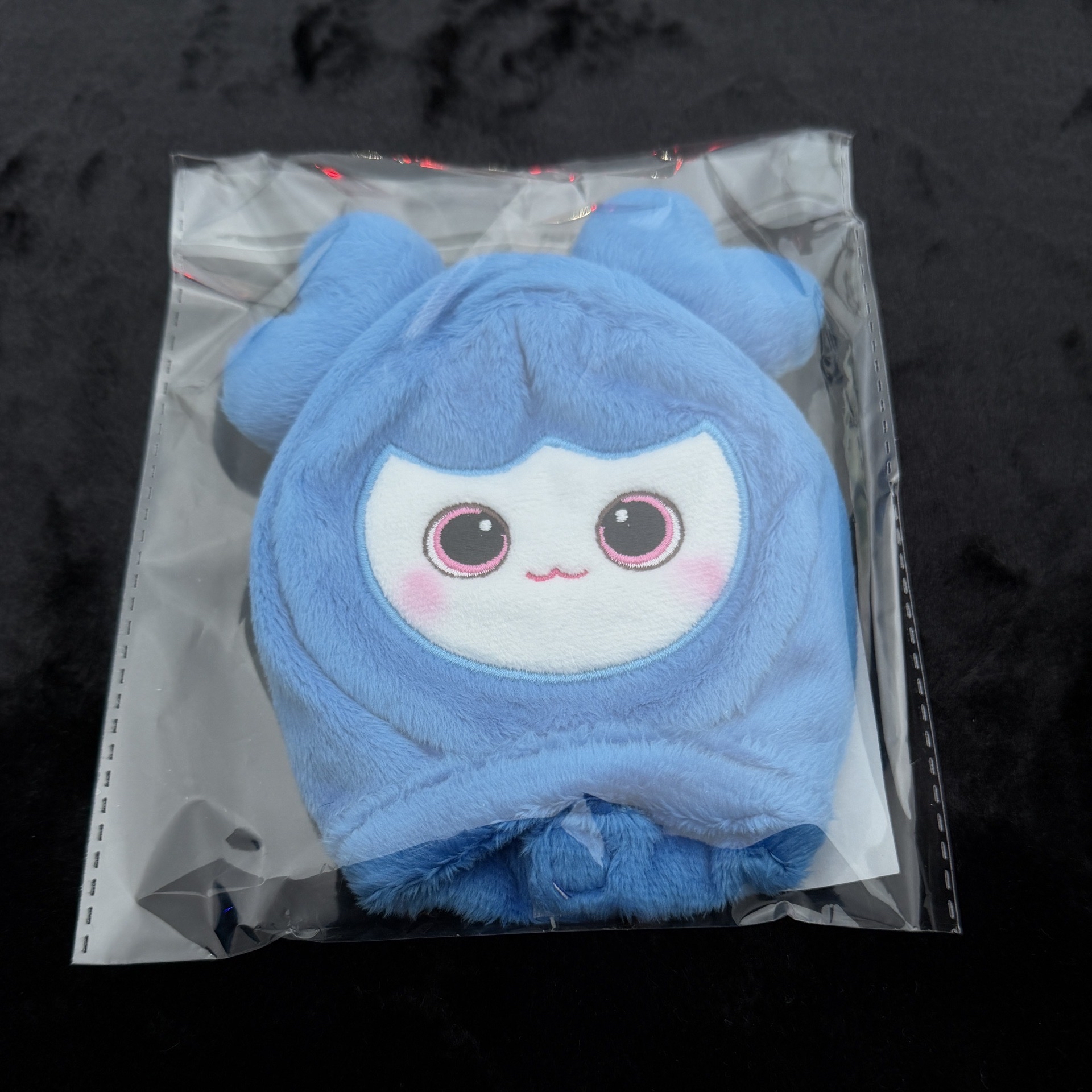 TWICE 十週年FM手燈套 BABY TZUZELY子瑜