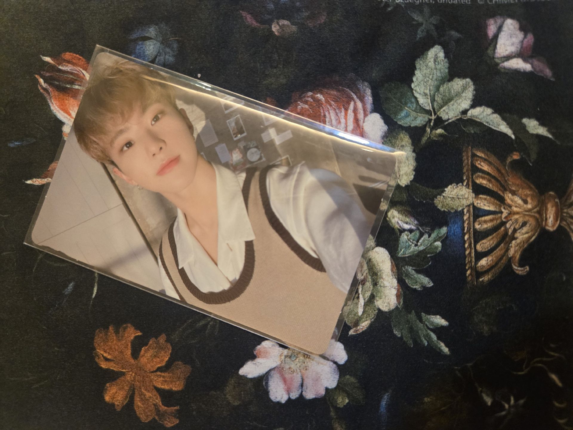 Hoshi attaca op1專卡