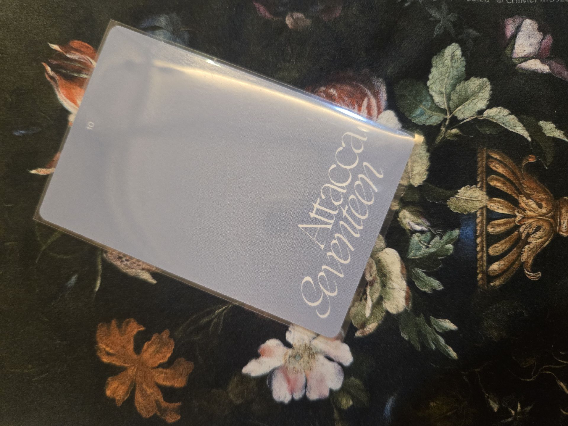 Hoshi attaca op1專卡