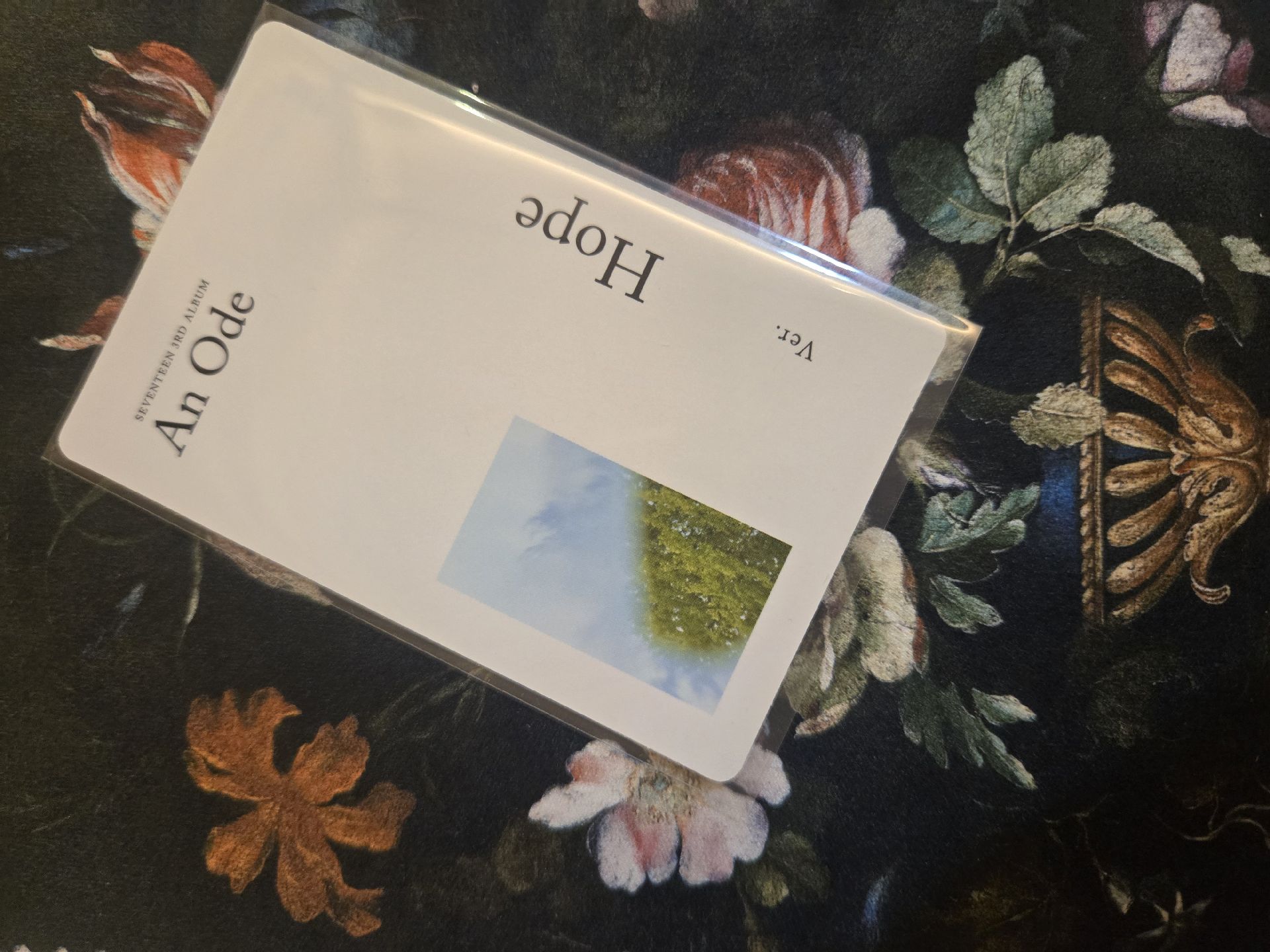 Hoshi An ode Hope ver專卡