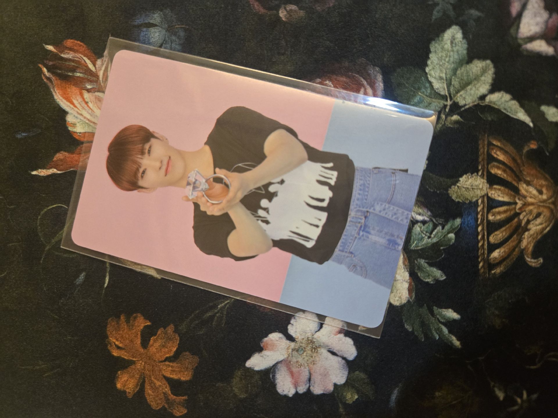 Hoshi 4期會員禮小卡