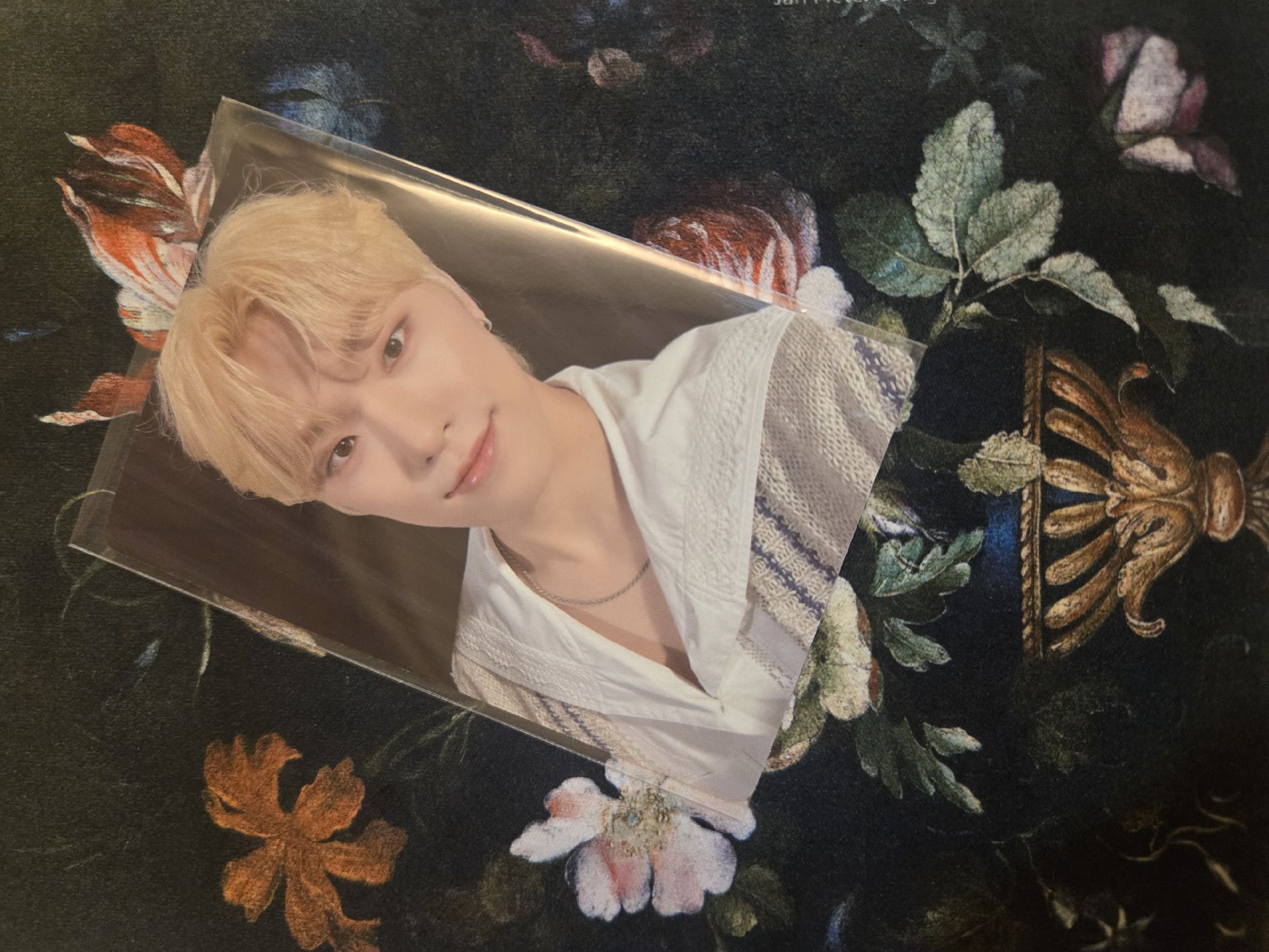 Dino 2023 克拉島回憶錄小卡