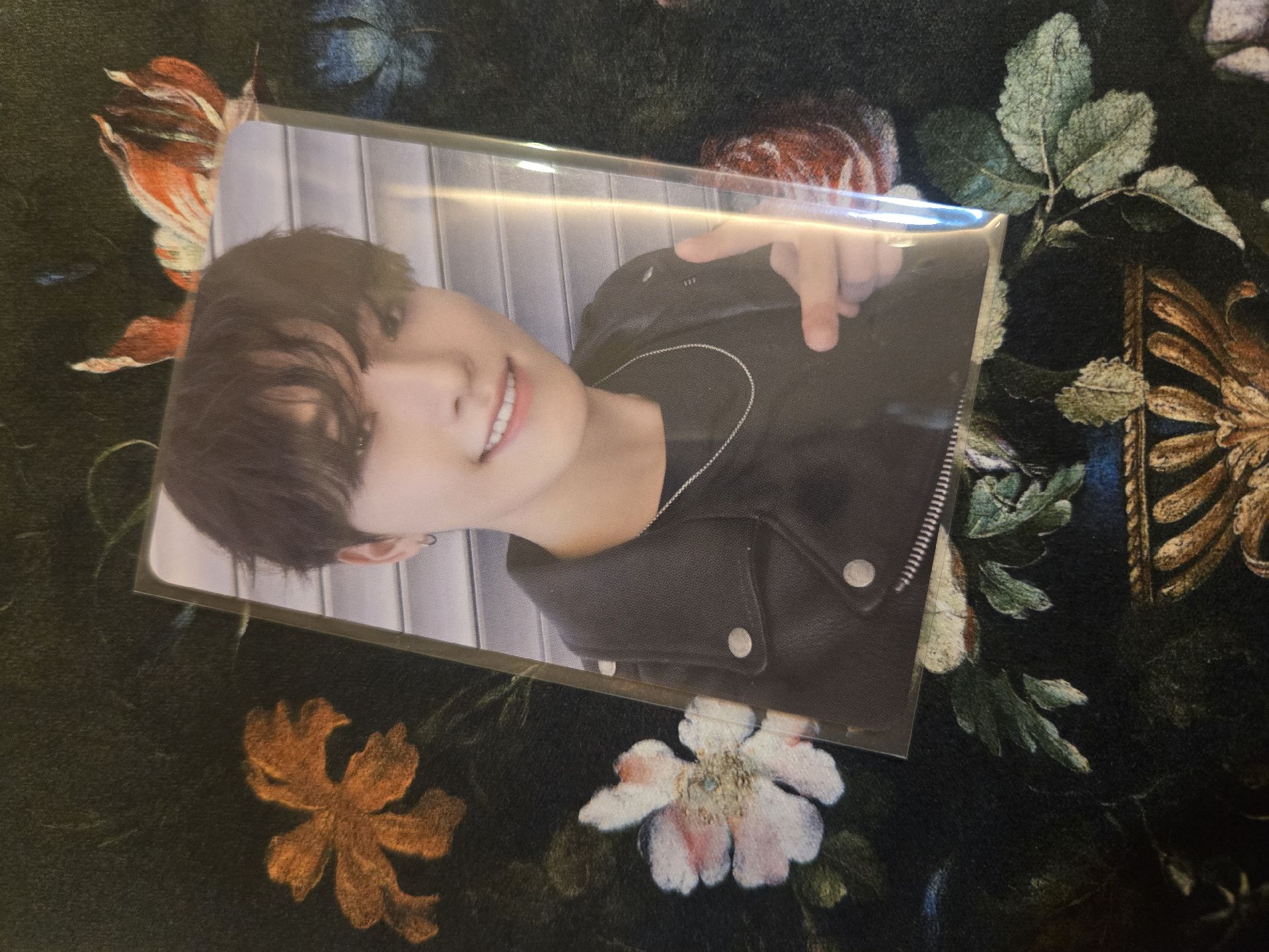 Dino 迷十二大阪場限