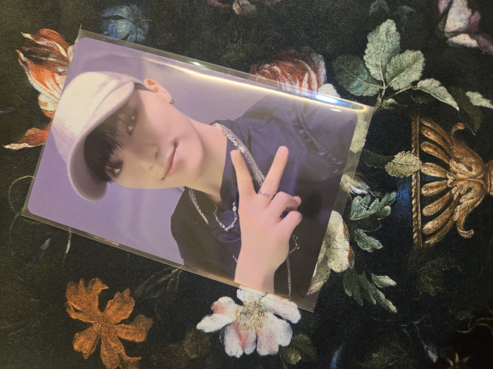 Dino 精選專一直娛D簽售卡