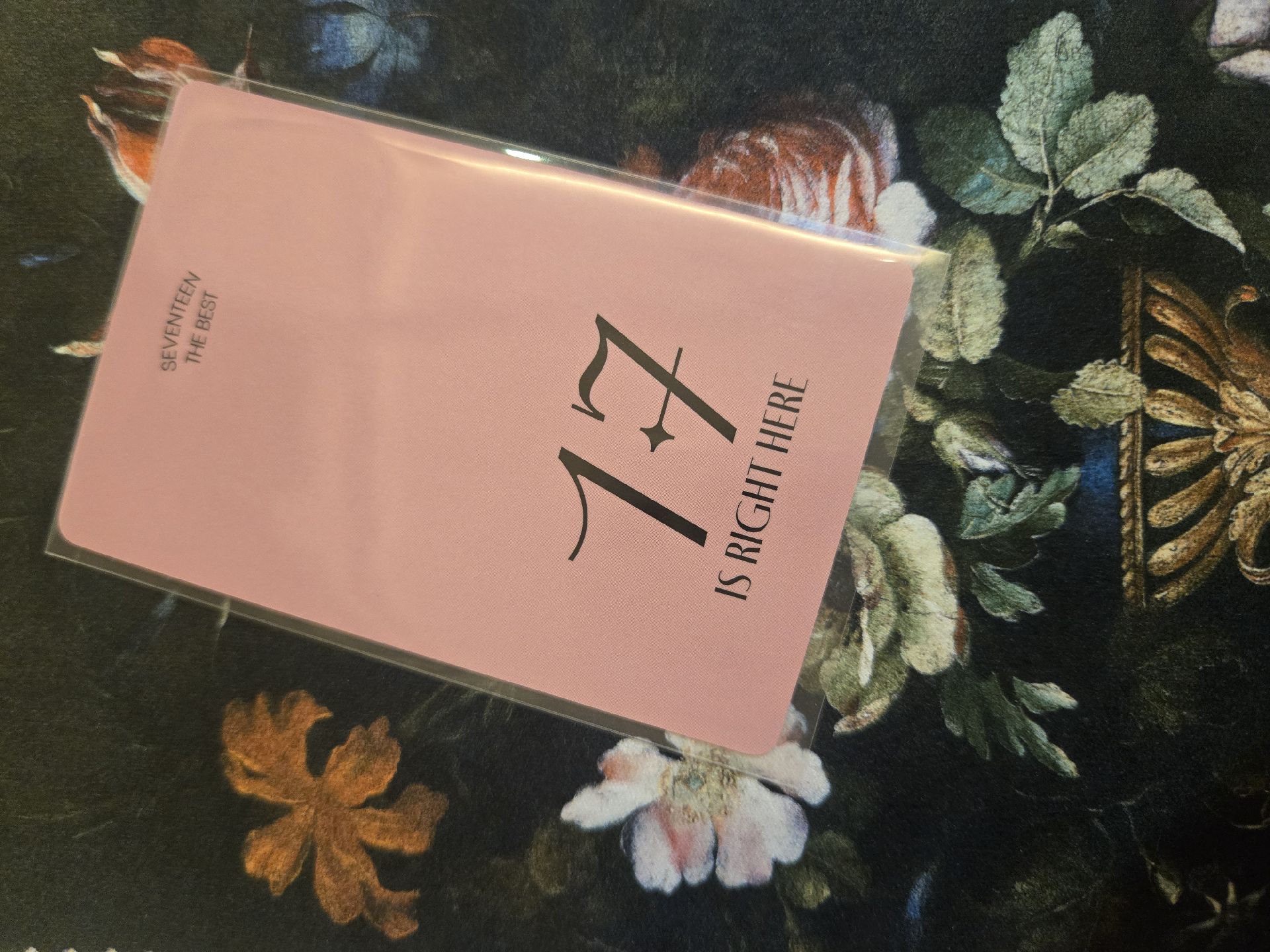 Dino 精選專一直娛D簽售卡