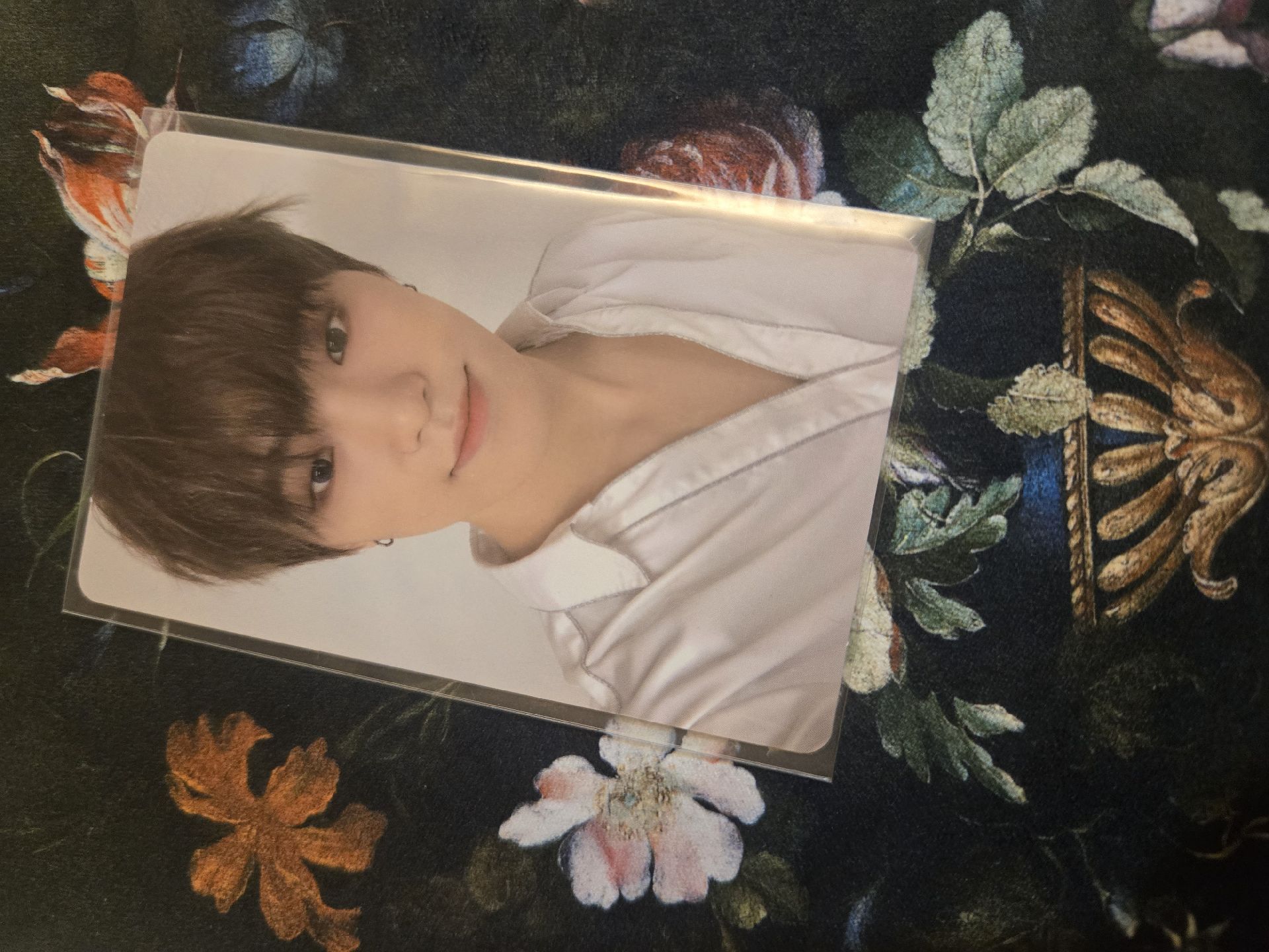 Dino Ode to you in seoul DVD小卡