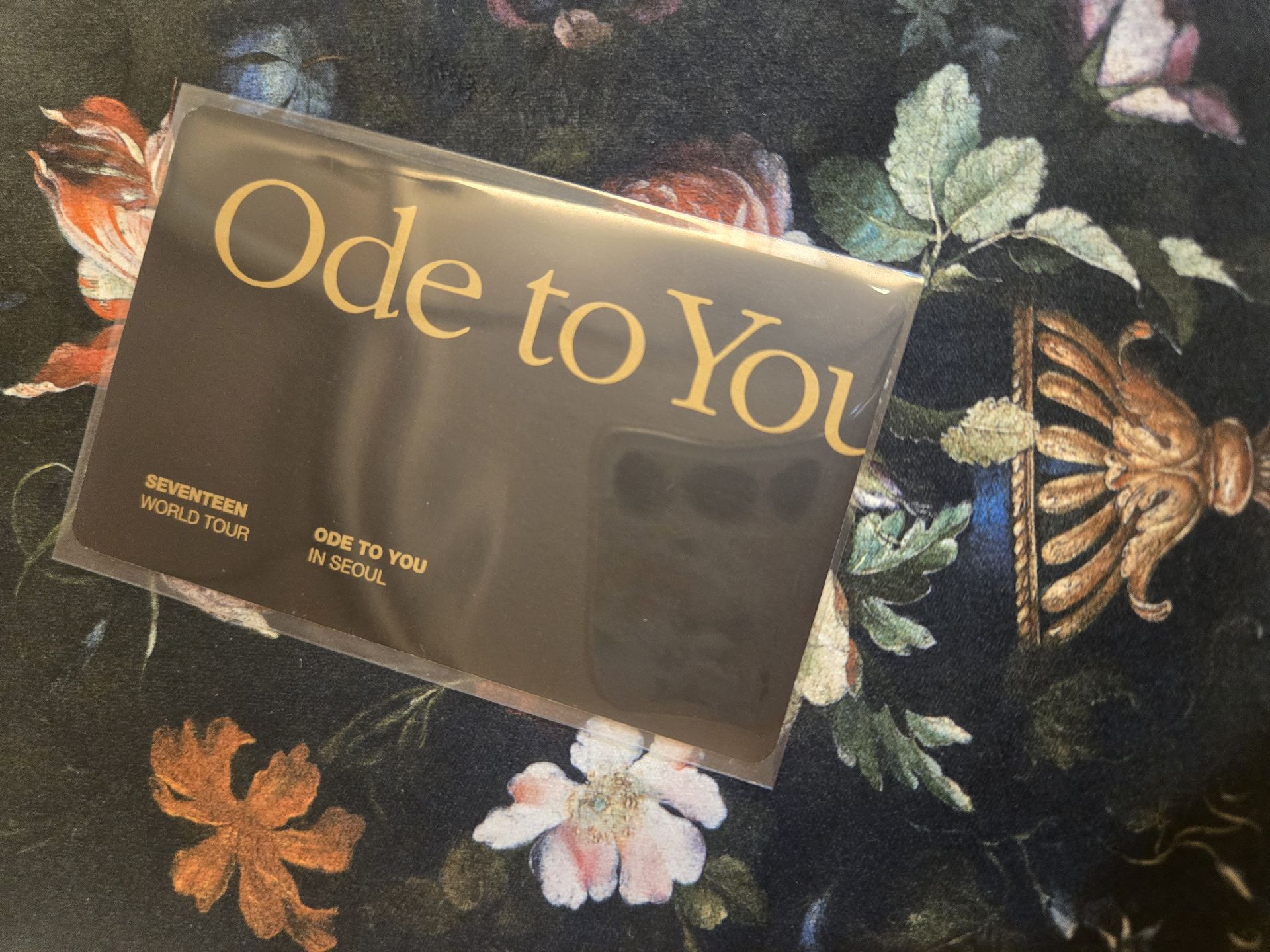 Dino Ode to you in seoul