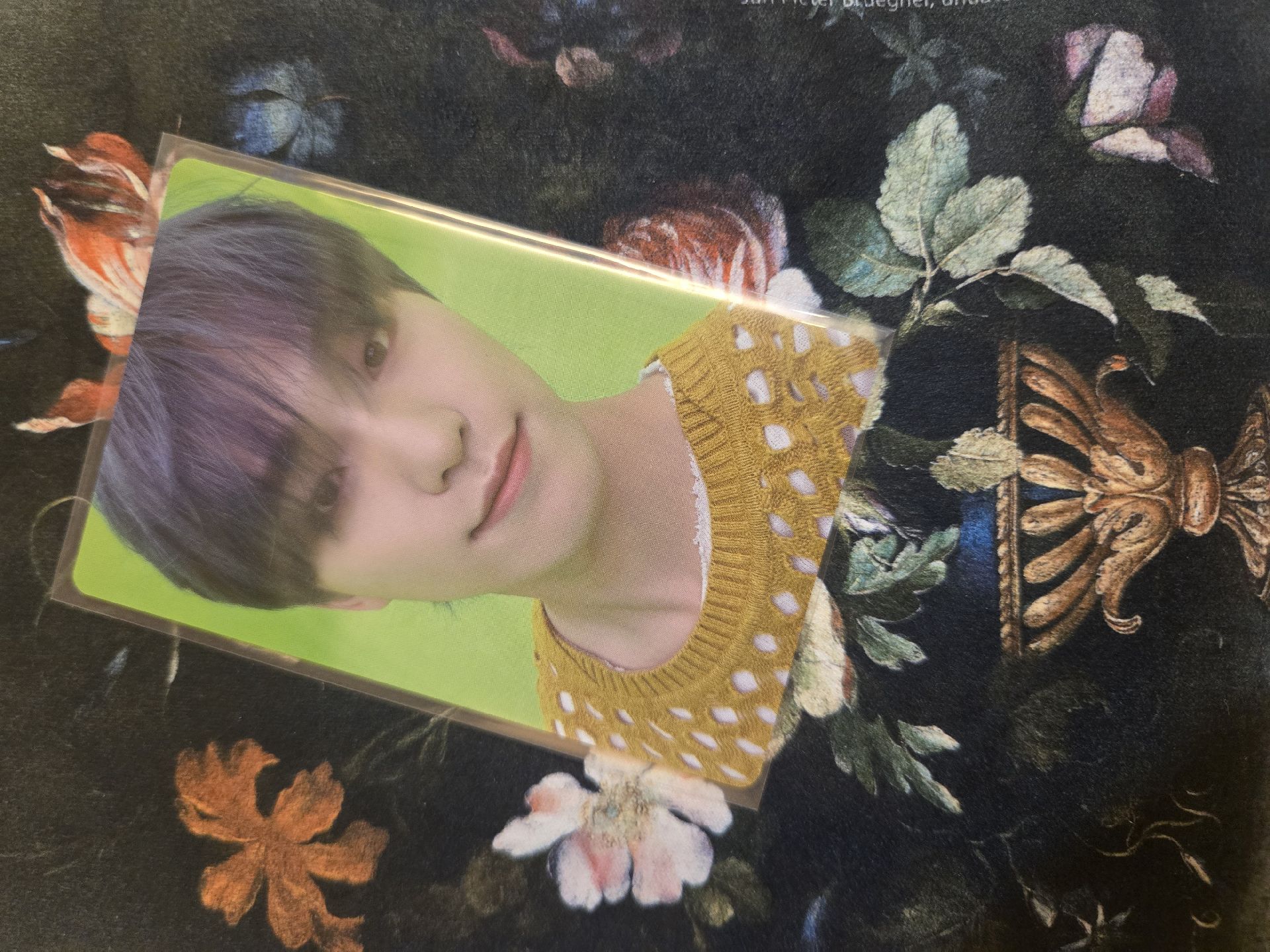 Dino power of love WVSJP特典卡