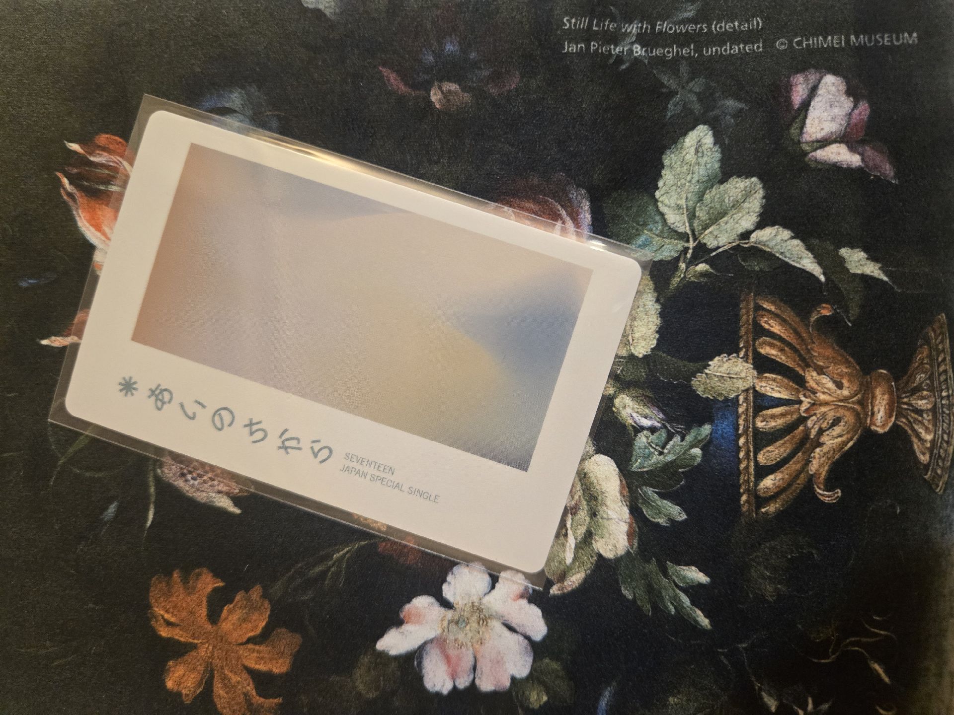 Dino power of love WVSJP特典卡