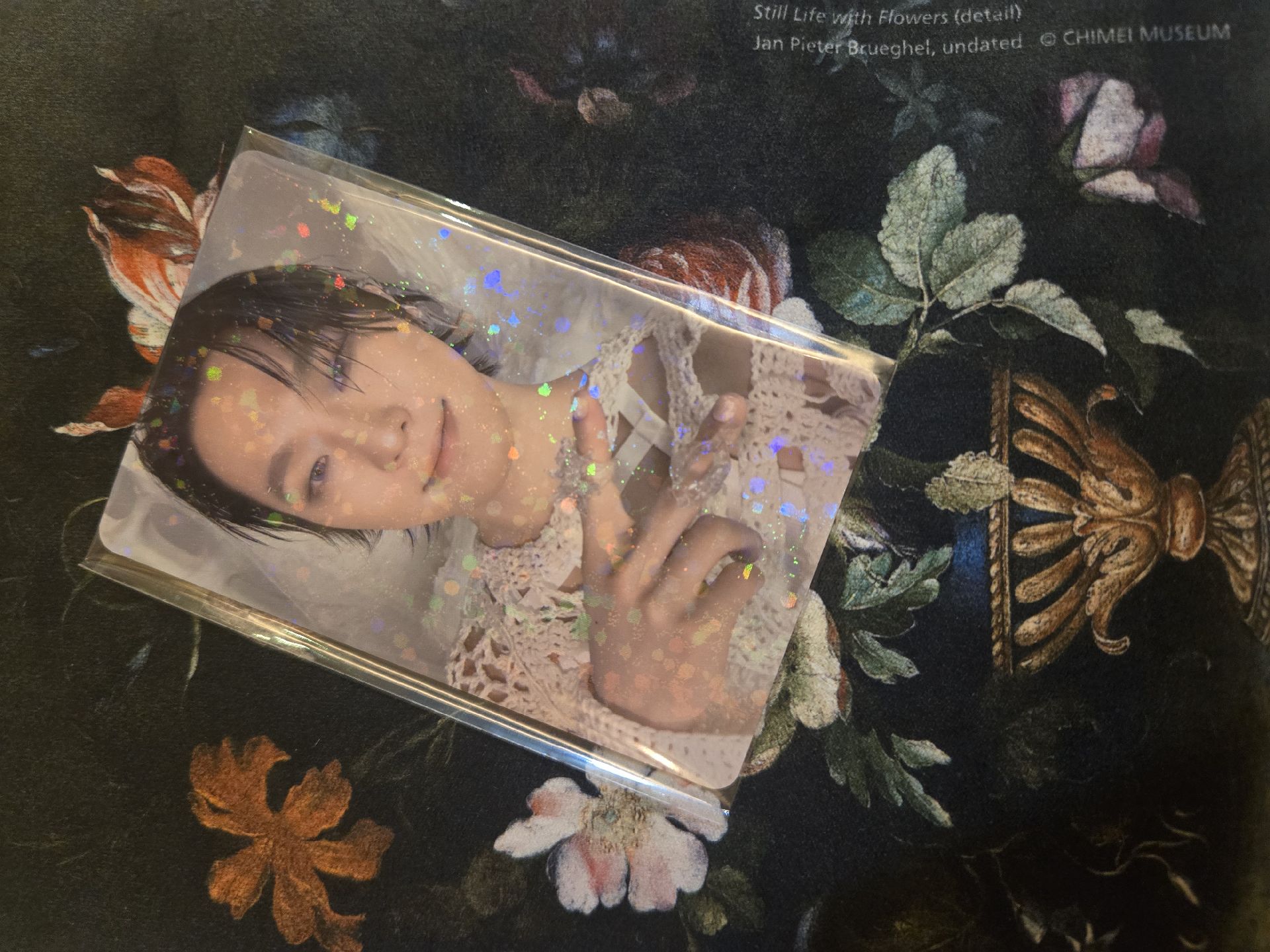 Dino 正規五 WVSJP特典閃卡