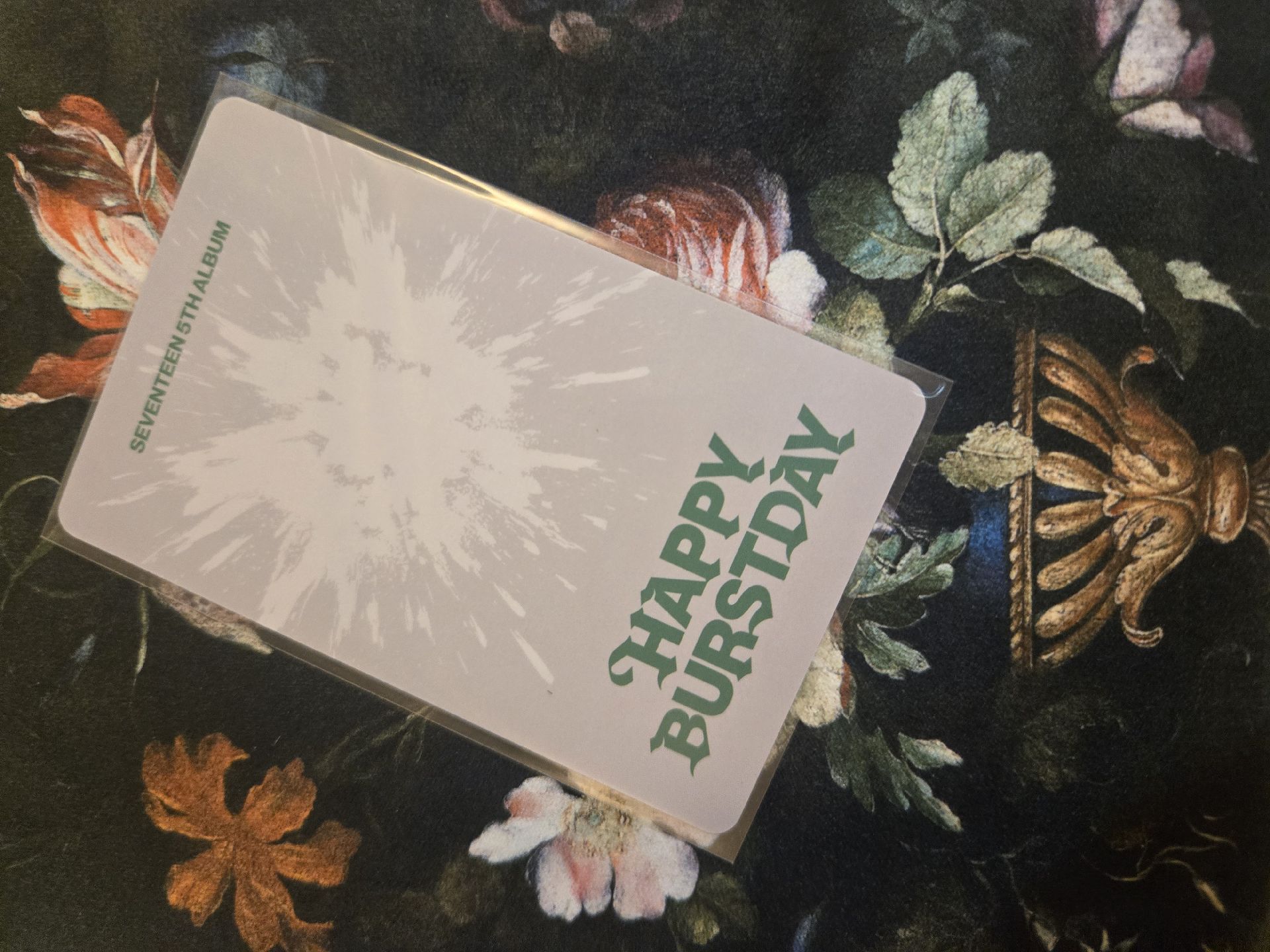 Joshua WVSJP抽選卡