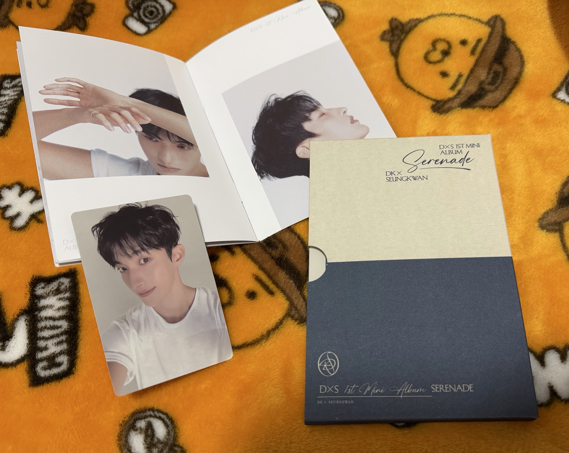 𝐃x𝐒 COMPACT C盤 全碩