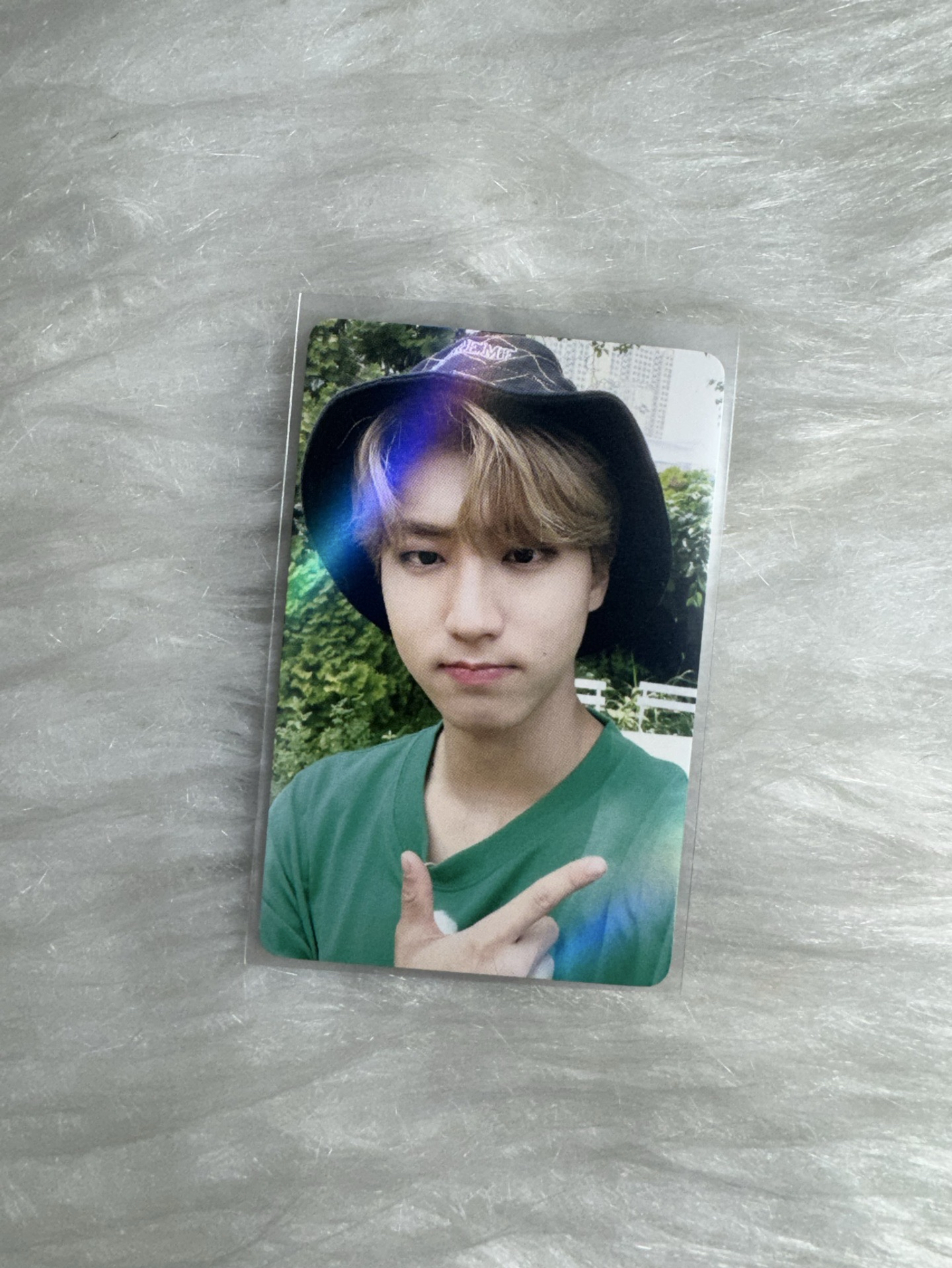 韓知城 wd特典卡