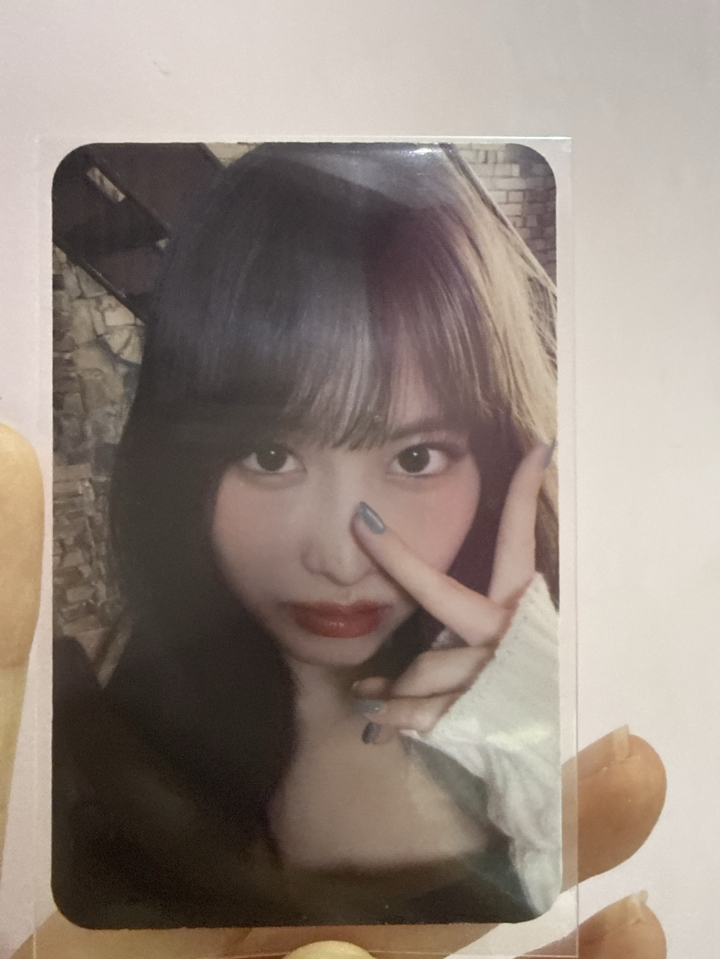 2023 momo 年曆特典 JYP