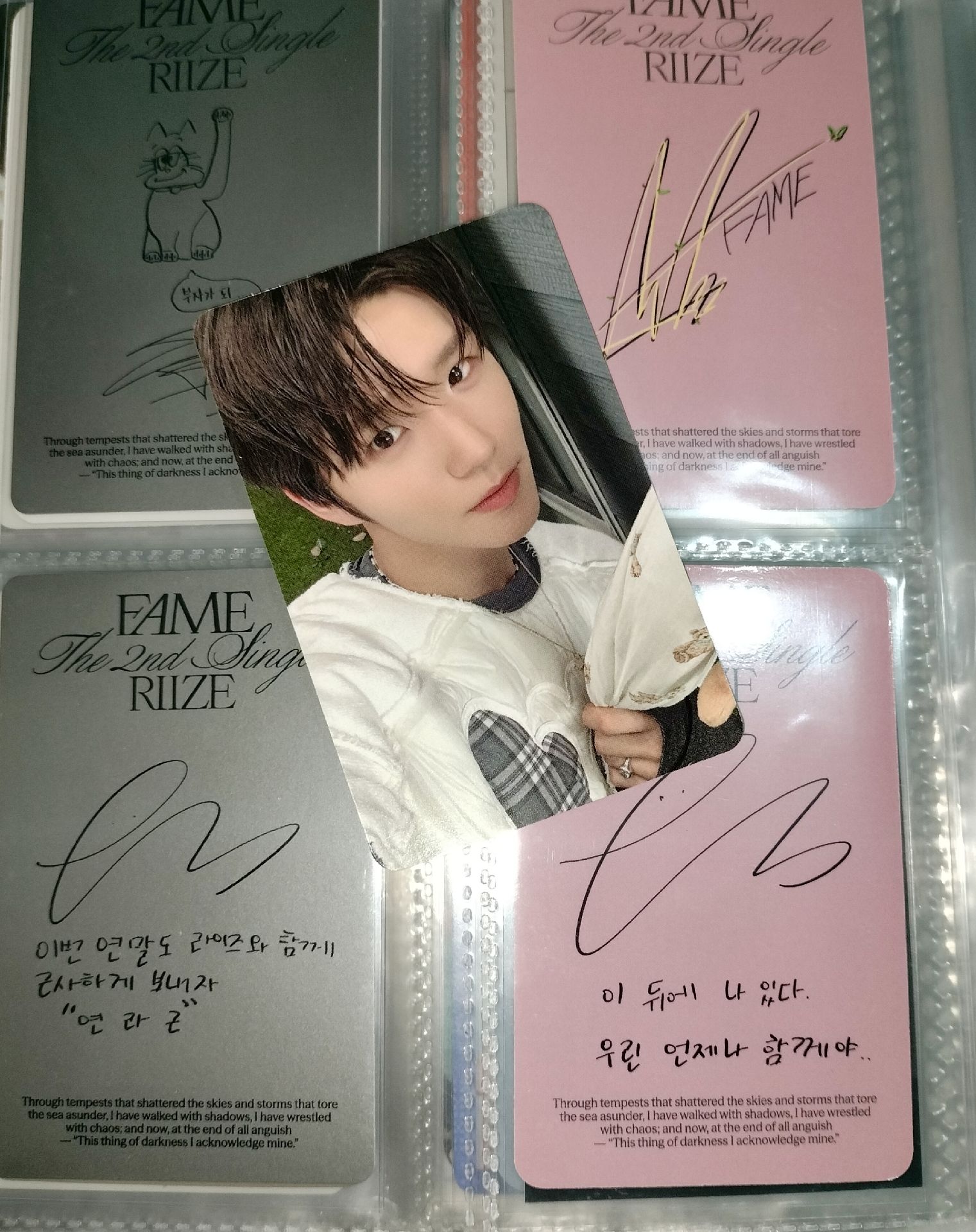 🌳樹(中背卡) 必收💕內容如下⬇️