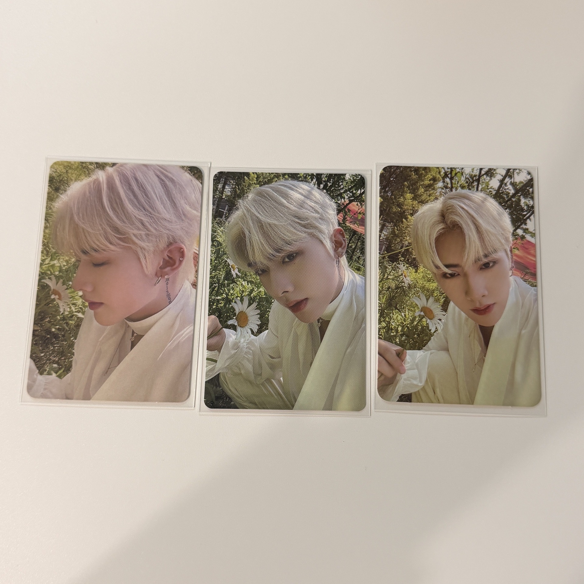 沈泉鋭迷一 花好香三部曲