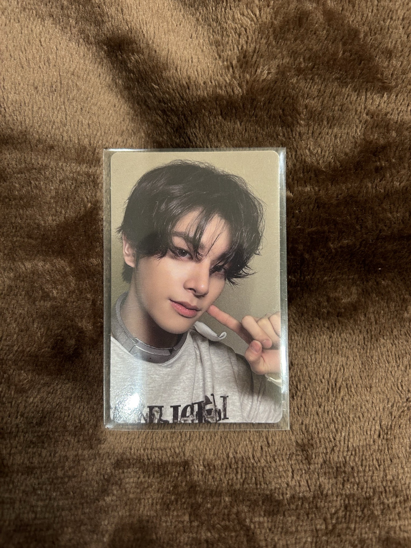 小澳洲牛奶獵犬🐕沈載倫迷六單封專卡