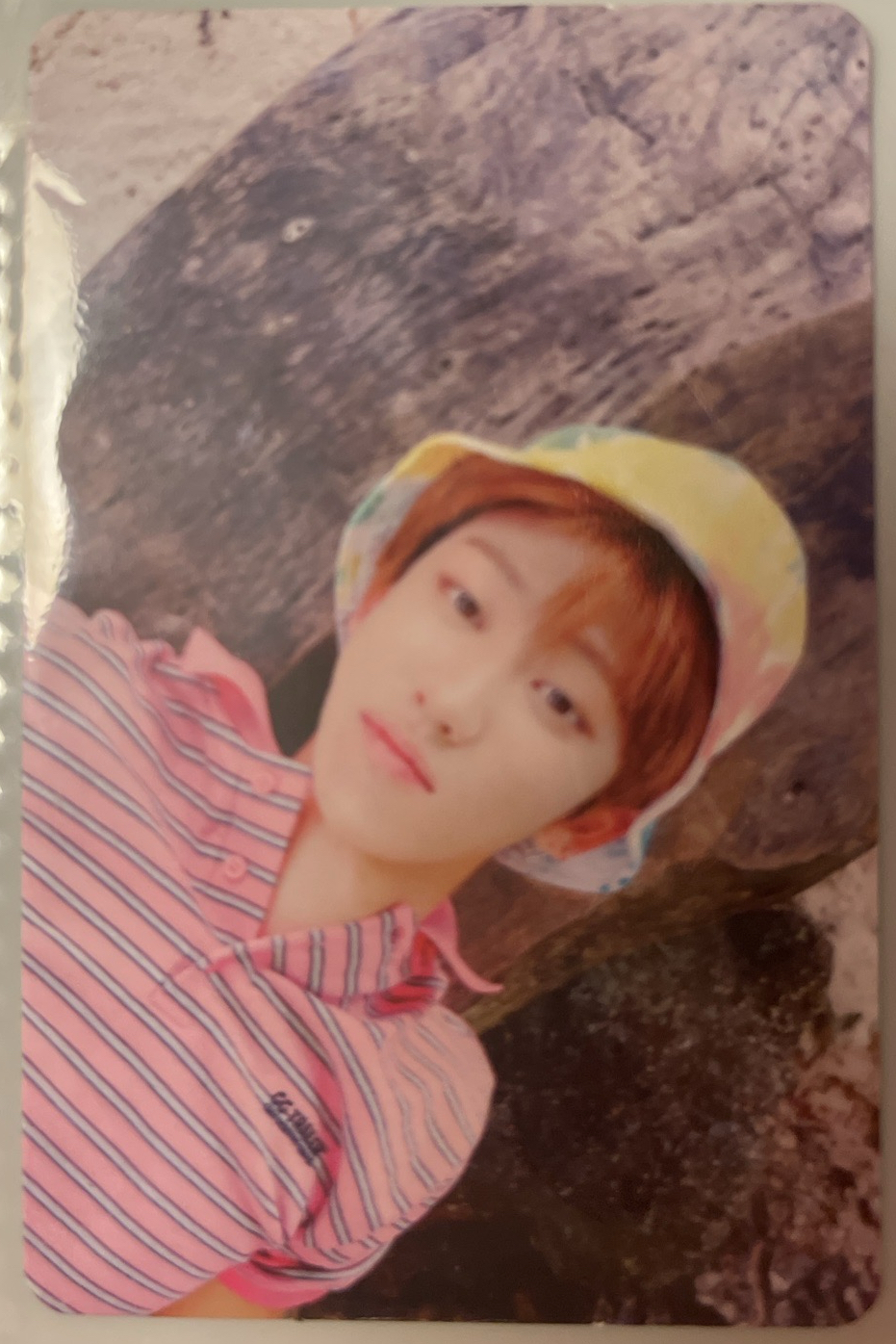 正規二輯 綠版 八專輯卡