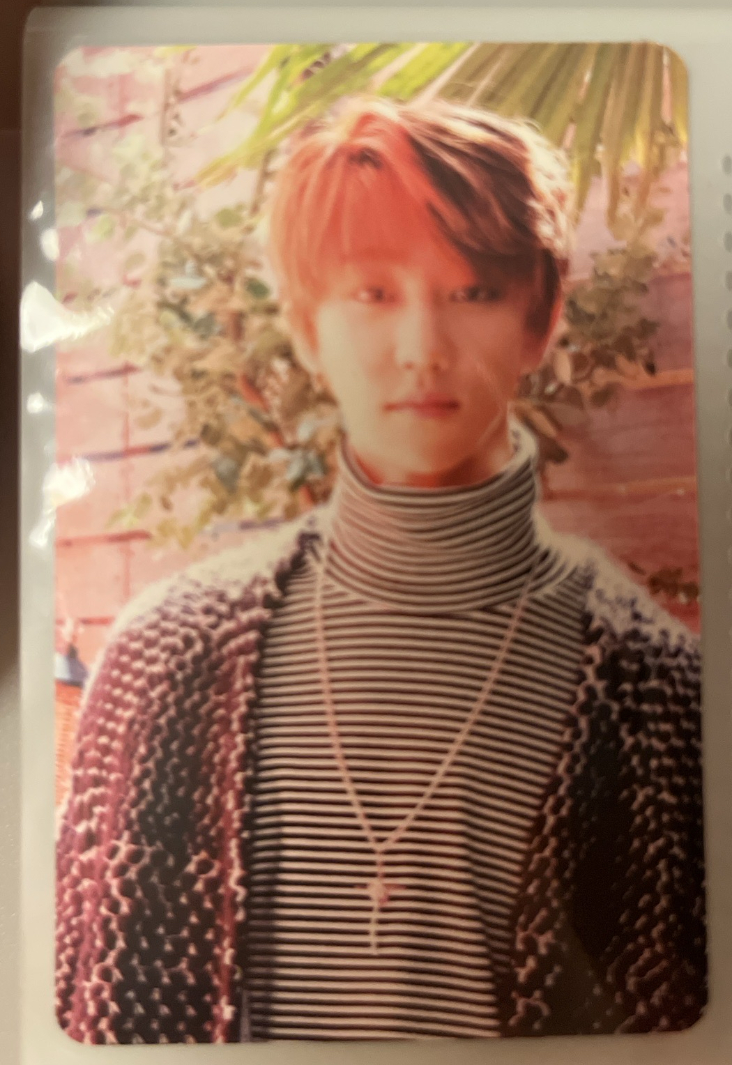 正規二輯 橘版 八專輯卡