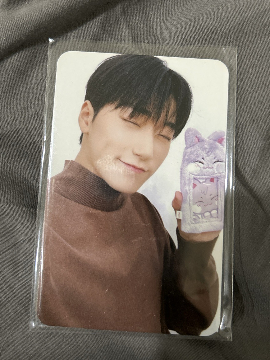 ANITEEZ IN DREAMLAND 崔傘