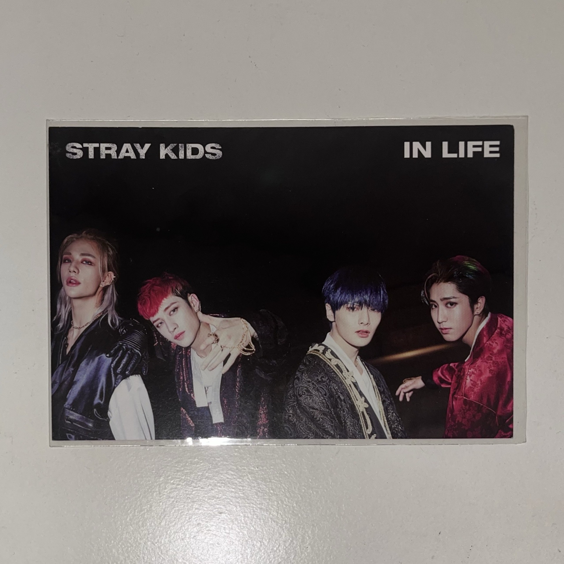 IN生 明信片 燦城辰寅