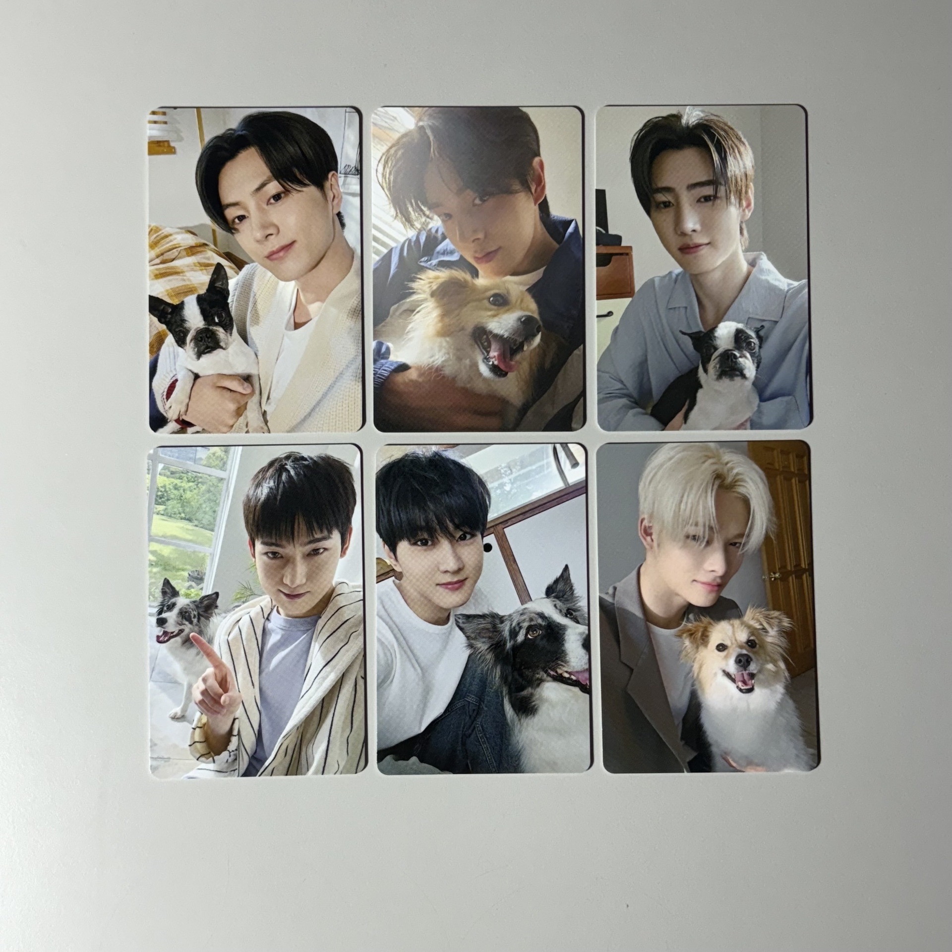 enhypen 日本會員 日咖 問卷卡 小卡 新問卷