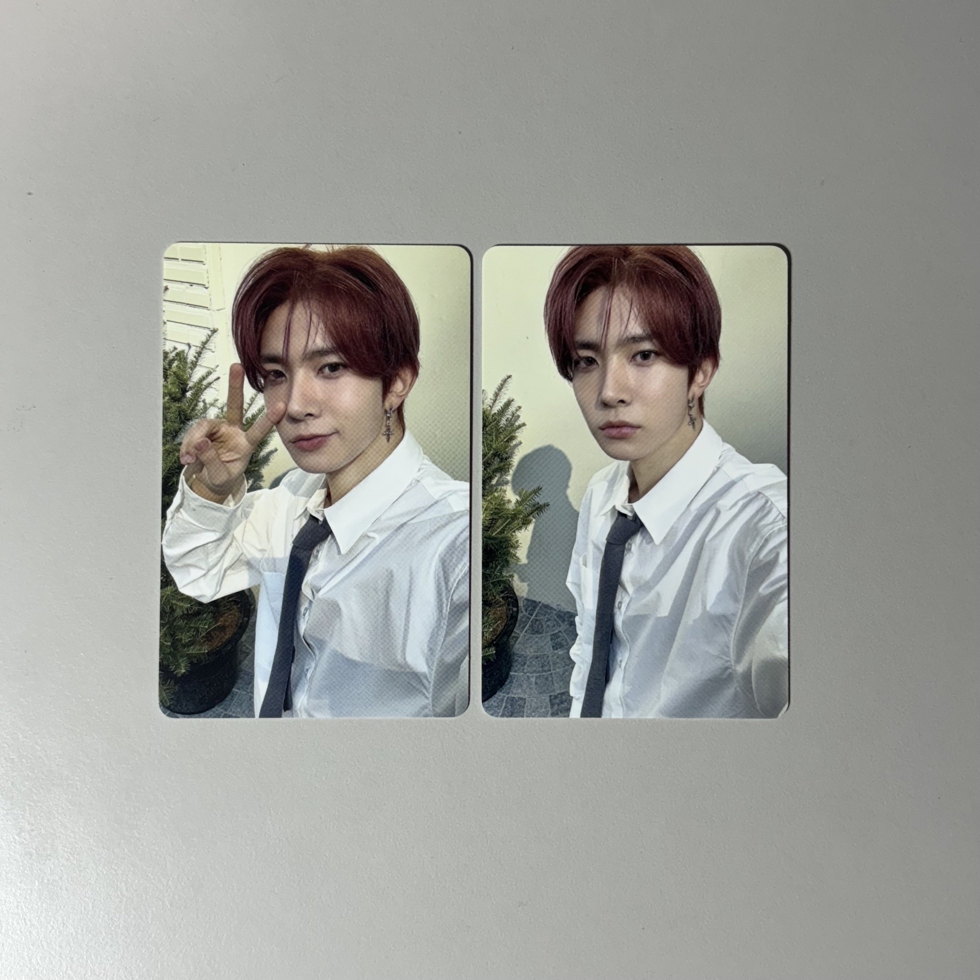 24D社卡組（皆有場損）