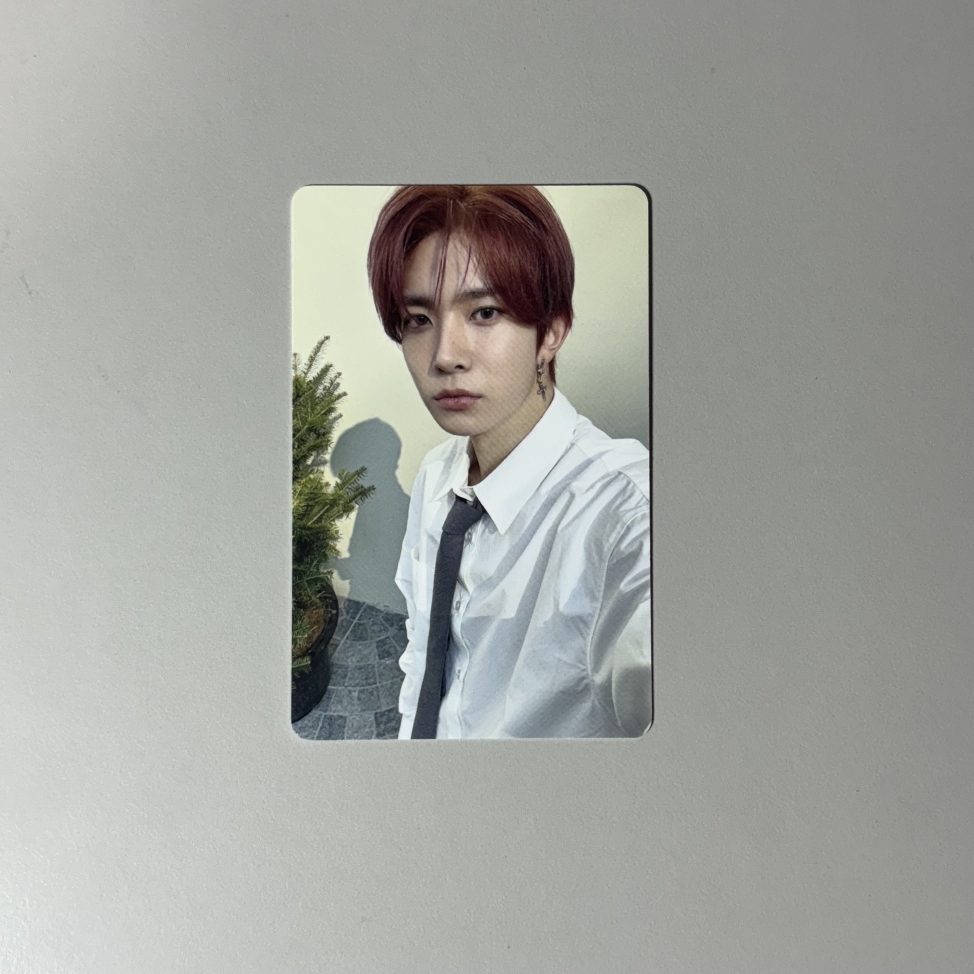 24 D社卡（有損）