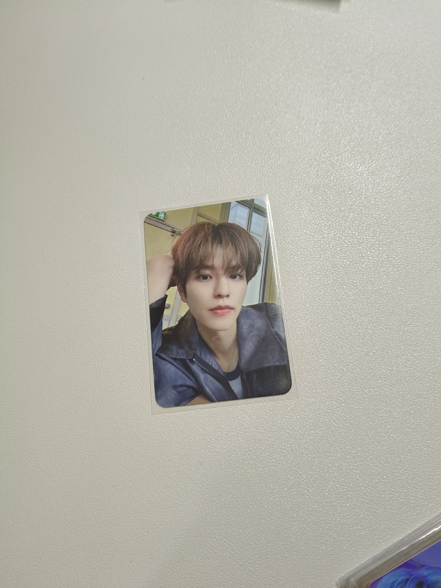 小狗永遠愛你中背（保留）