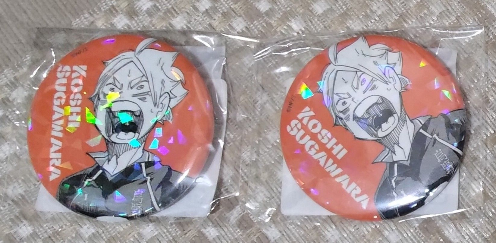 排球少年菅原受助閃