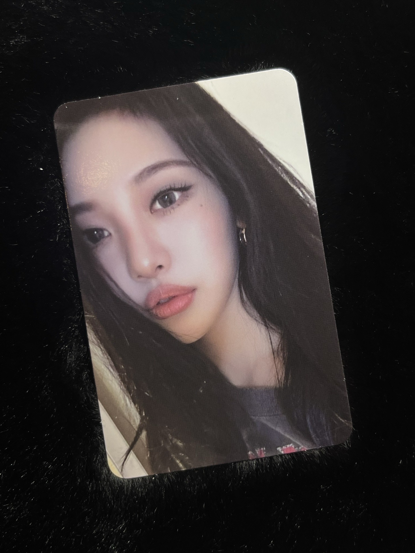 ⭐️Whiplash 隨機快閃寧