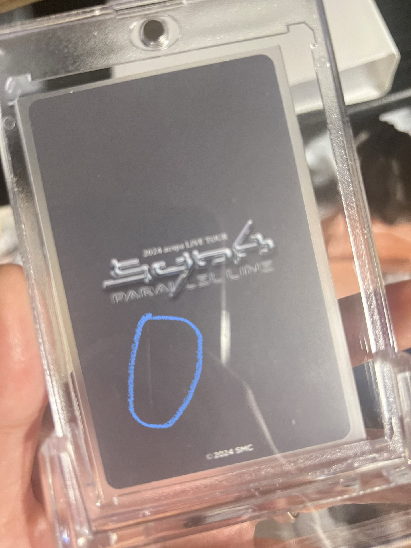 東蛋隨機柚 托臉