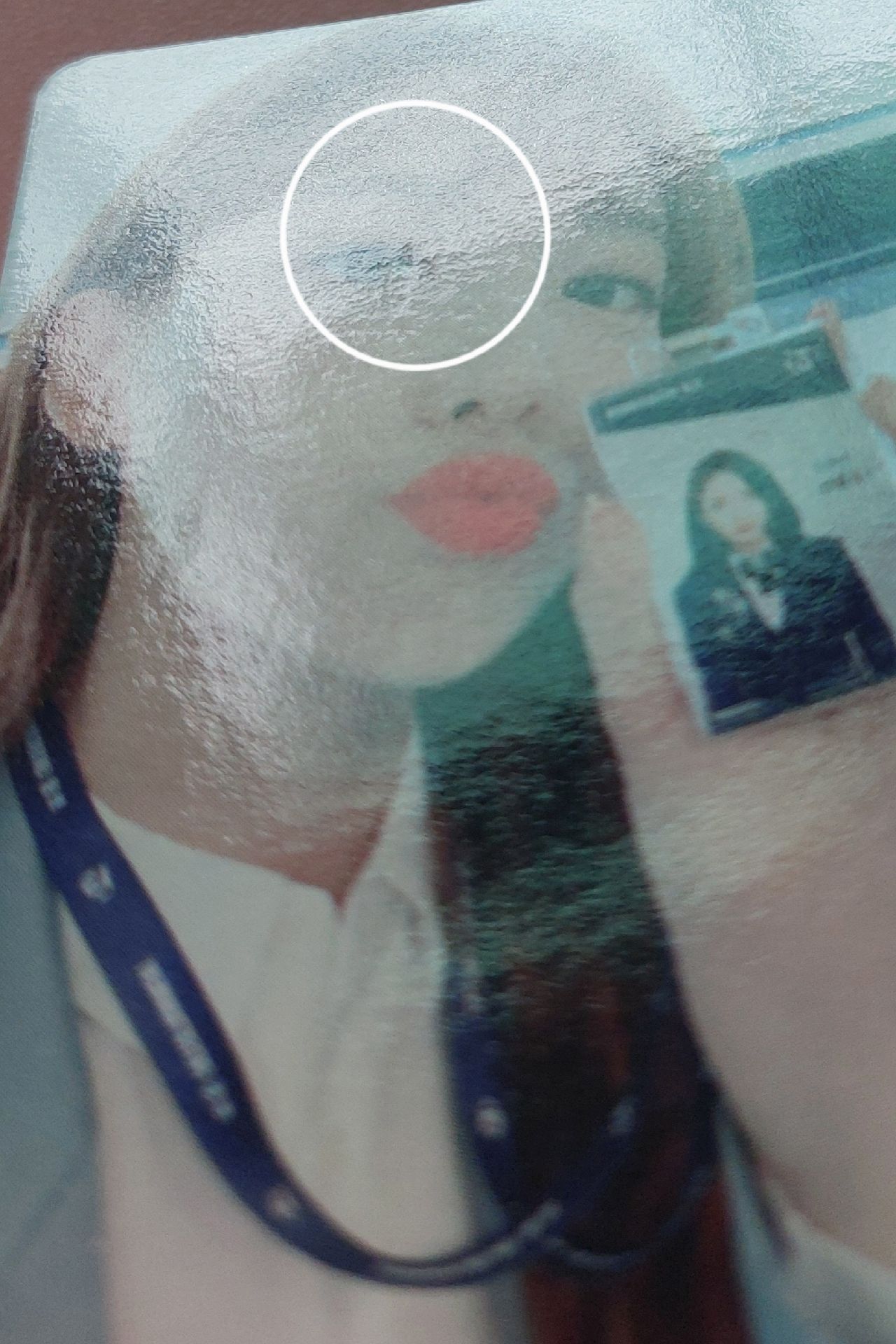 （對光損）會員禮娜