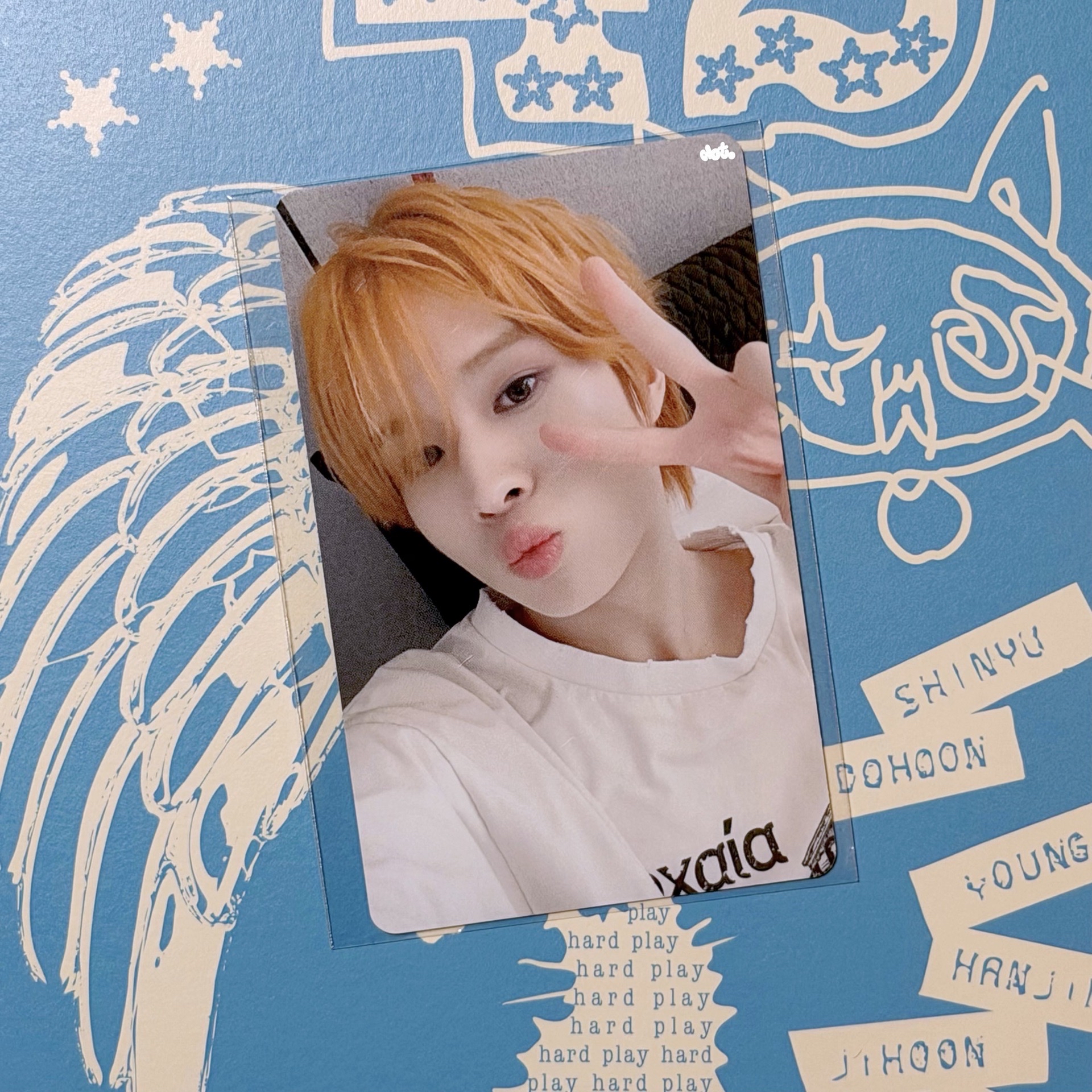 🐥 WVS SC直播卡 (未拆)