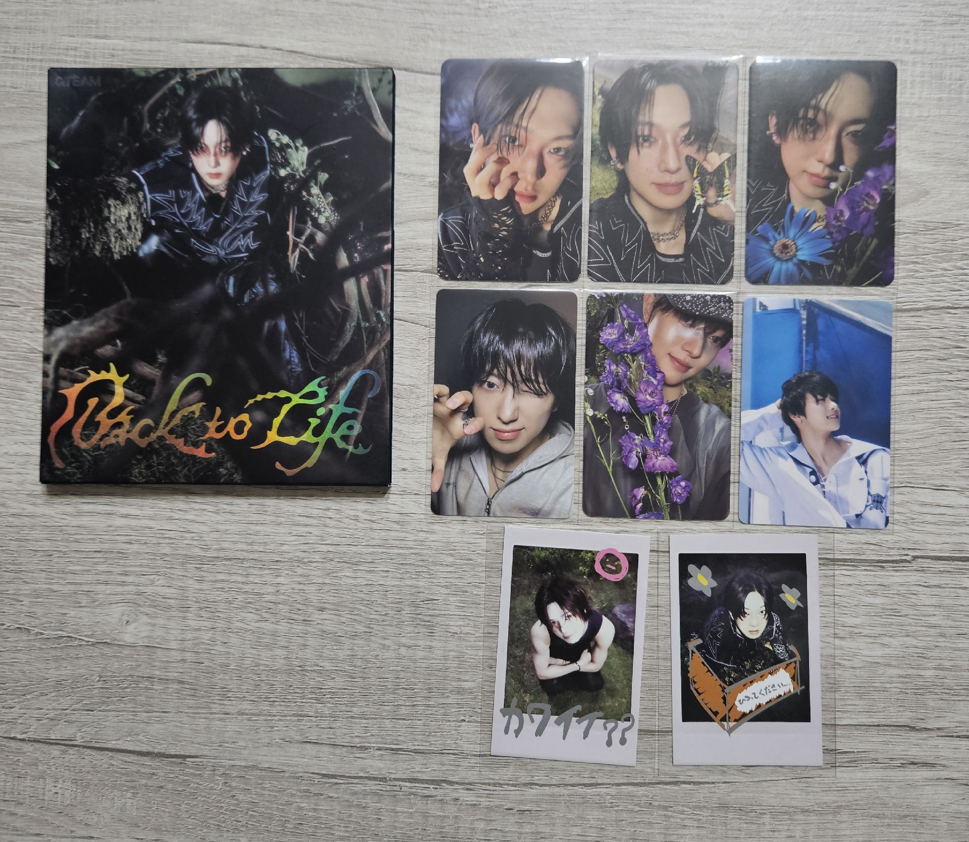 🐺整圖出4️⃣