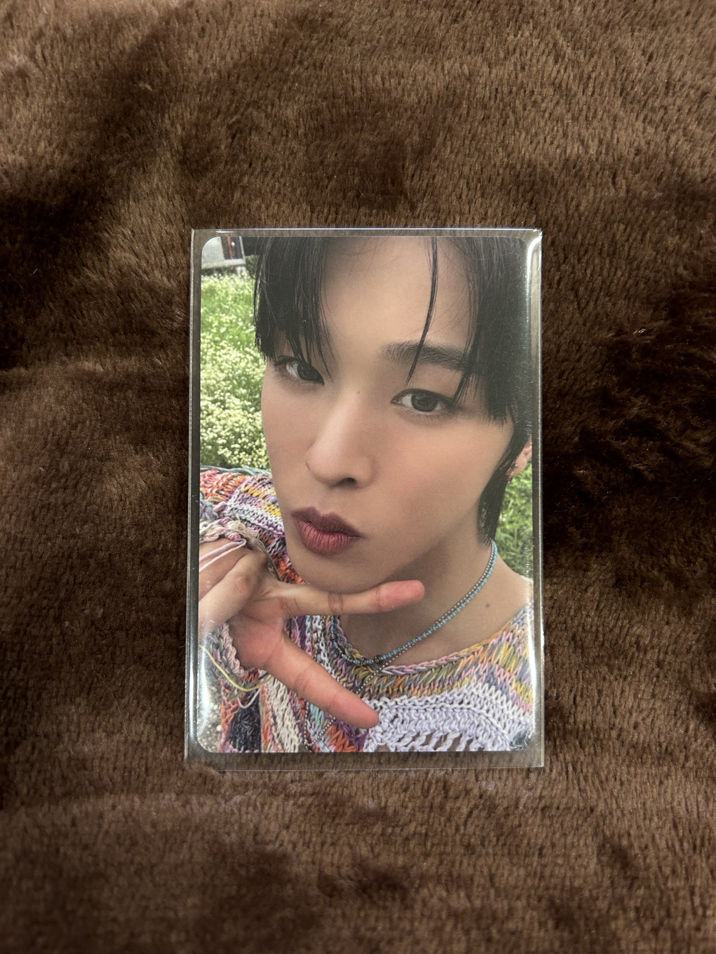 前田陸 color pb版專卡