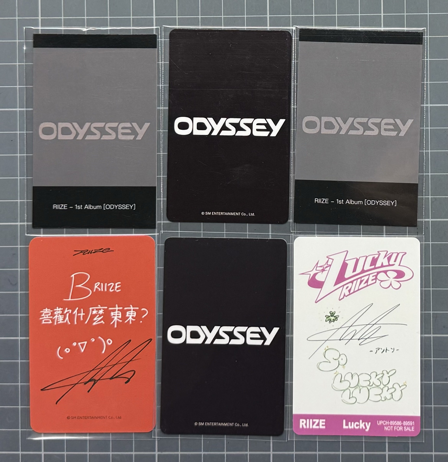 汪汪龍 🦕(整圖不拆售)