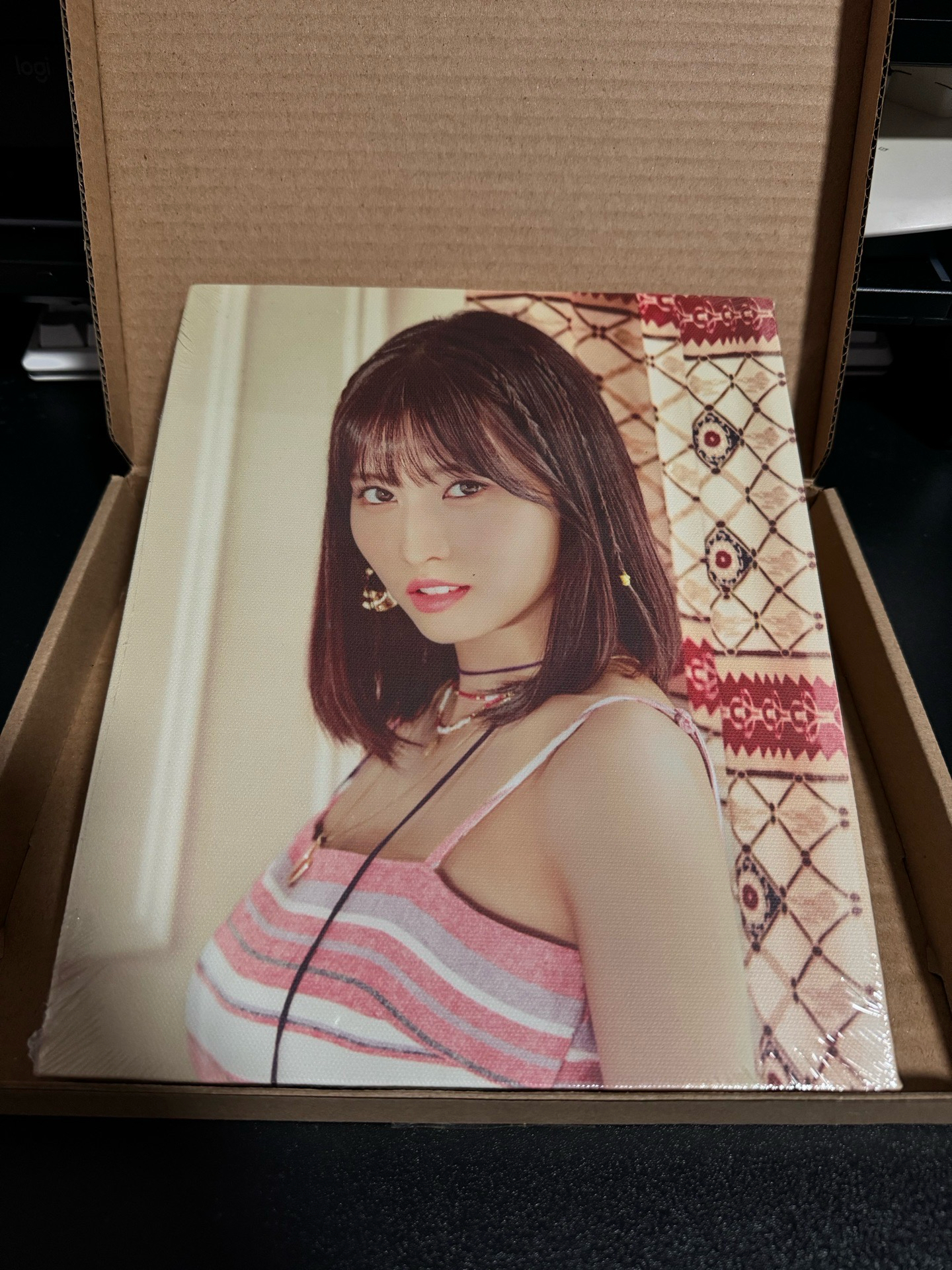 TWICE BDZ周邊-MOMO掛畫