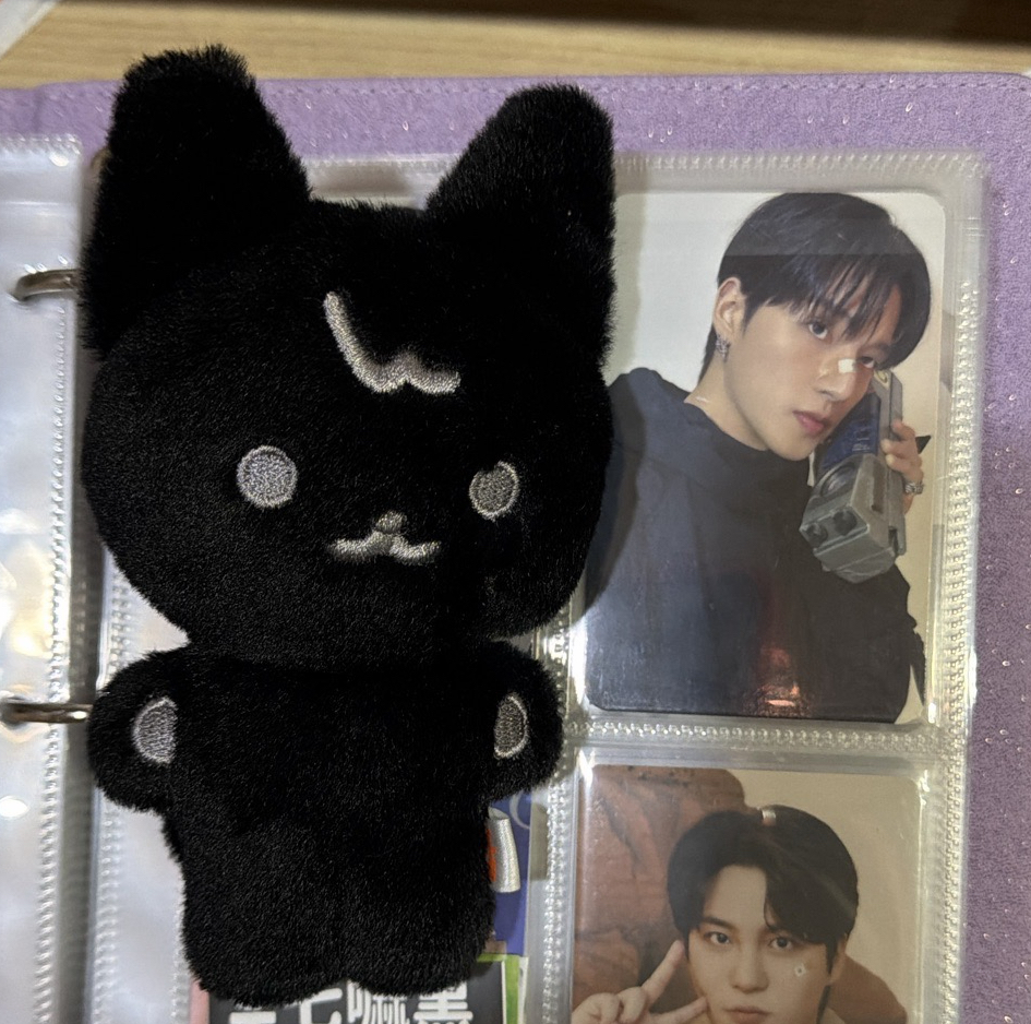 ANITEEZ IN TREASURE 吊娃 FLAT FUR PLUSH